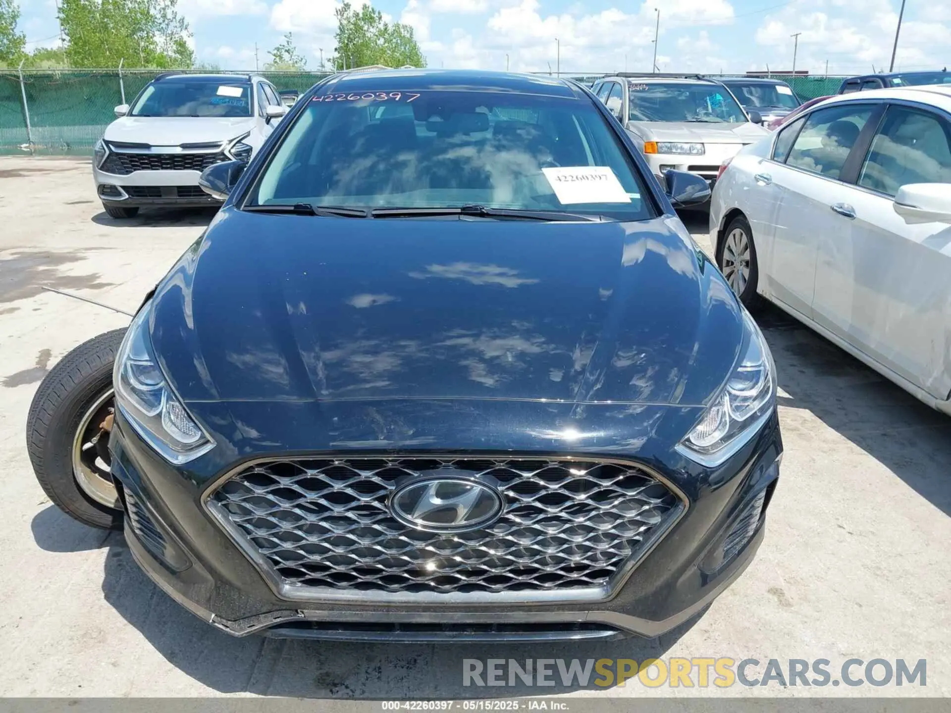 12 Photograph of a damaged car 5NPE34AF1KH797081 HYUNDAI SONATA 2019