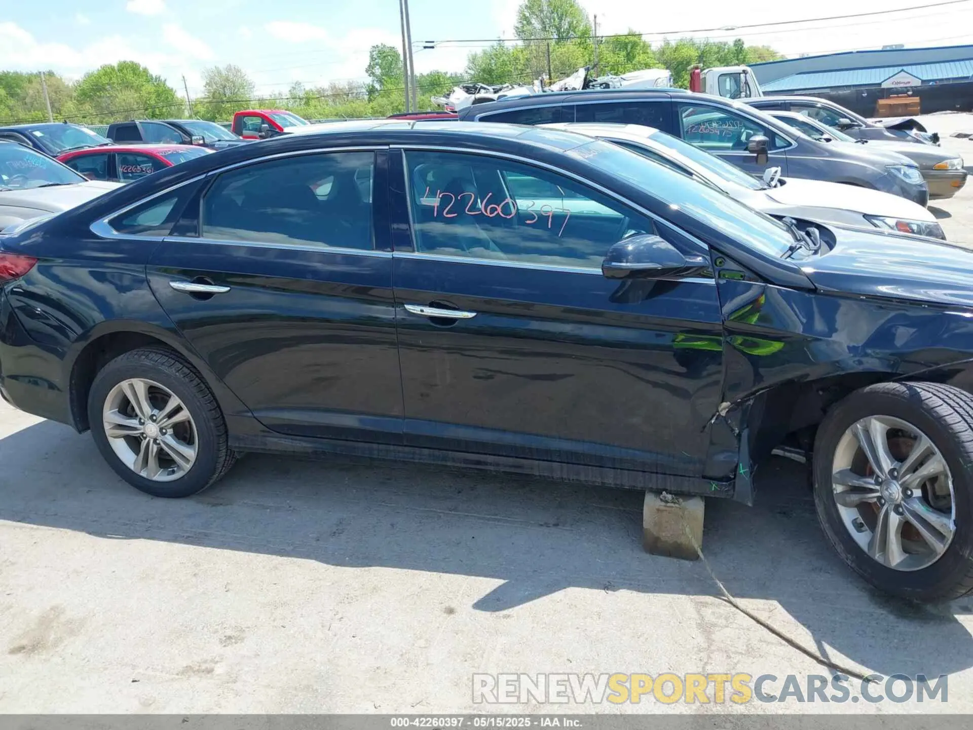 13 Photograph of a damaged car 5NPE34AF1KH797081 HYUNDAI SONATA 2019