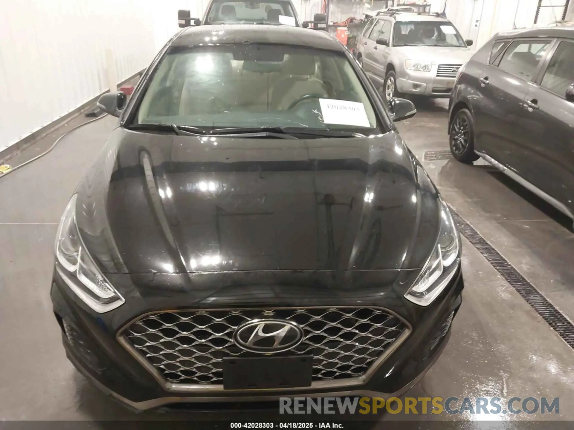12 Photograph of a damaged car 5NPE34AF1KH817247 HYUNDAI SONATA 2019