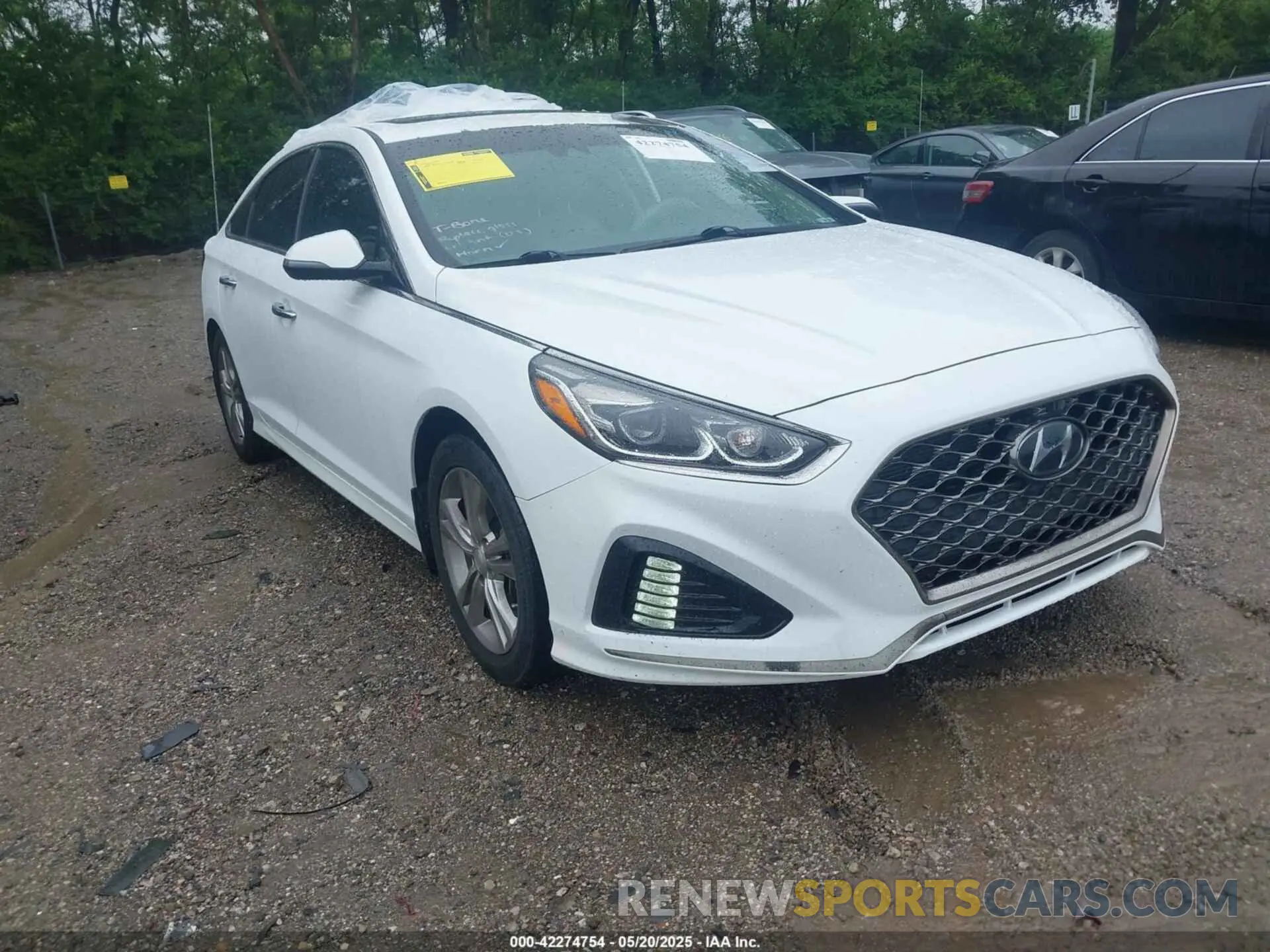 1 Photograph of a damaged car 5NPE34AF2KH733583 HYUNDAI SONATA 2019