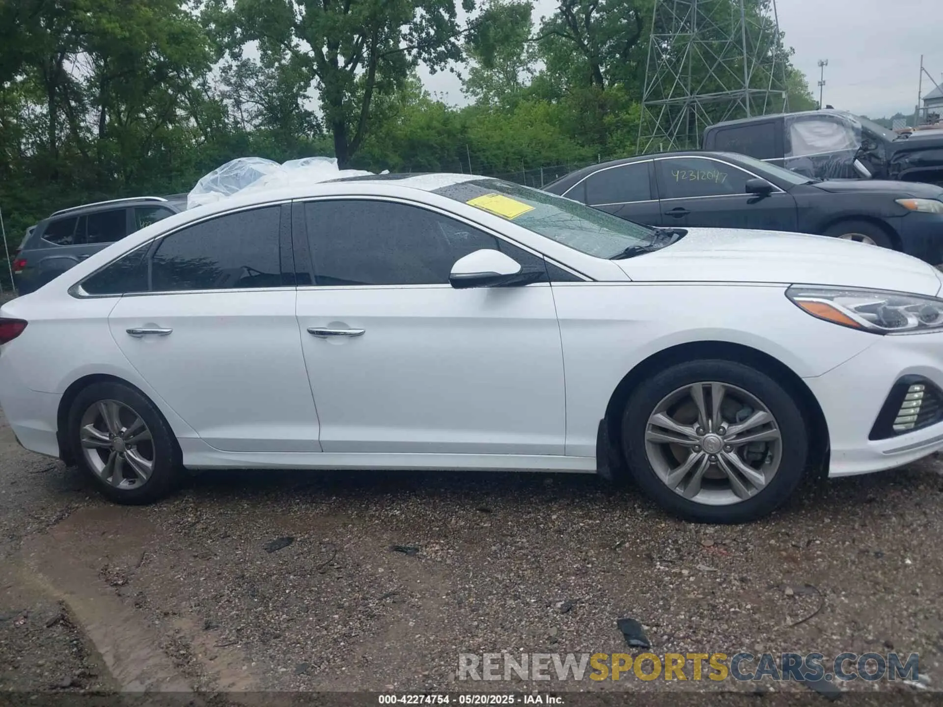 13 Photograph of a damaged car 5NPE34AF2KH733583 HYUNDAI SONATA 2019