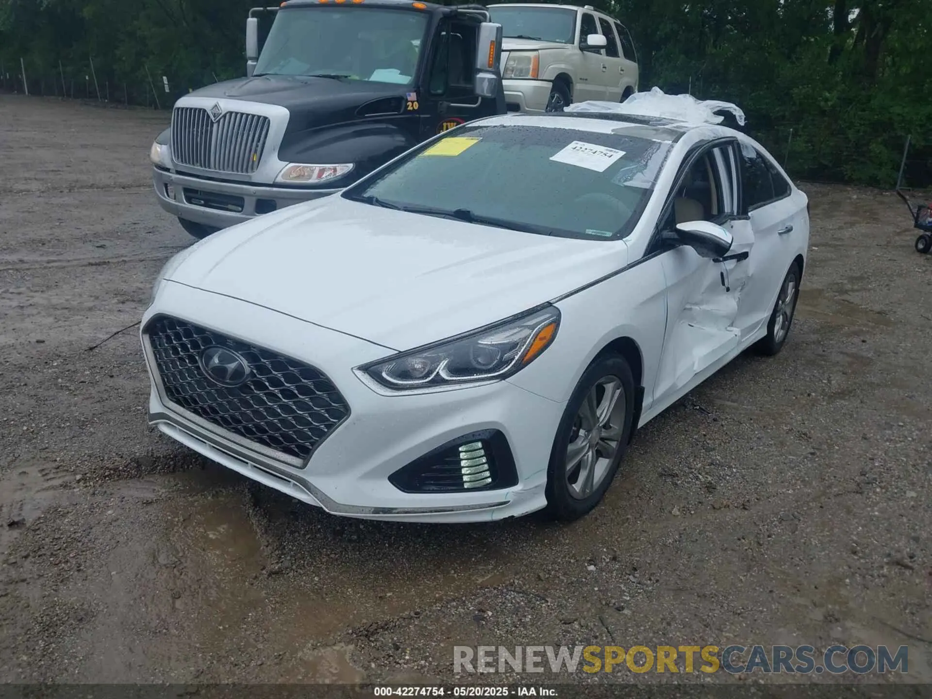 2 Photograph of a damaged car 5NPE34AF2KH733583 HYUNDAI SONATA 2019