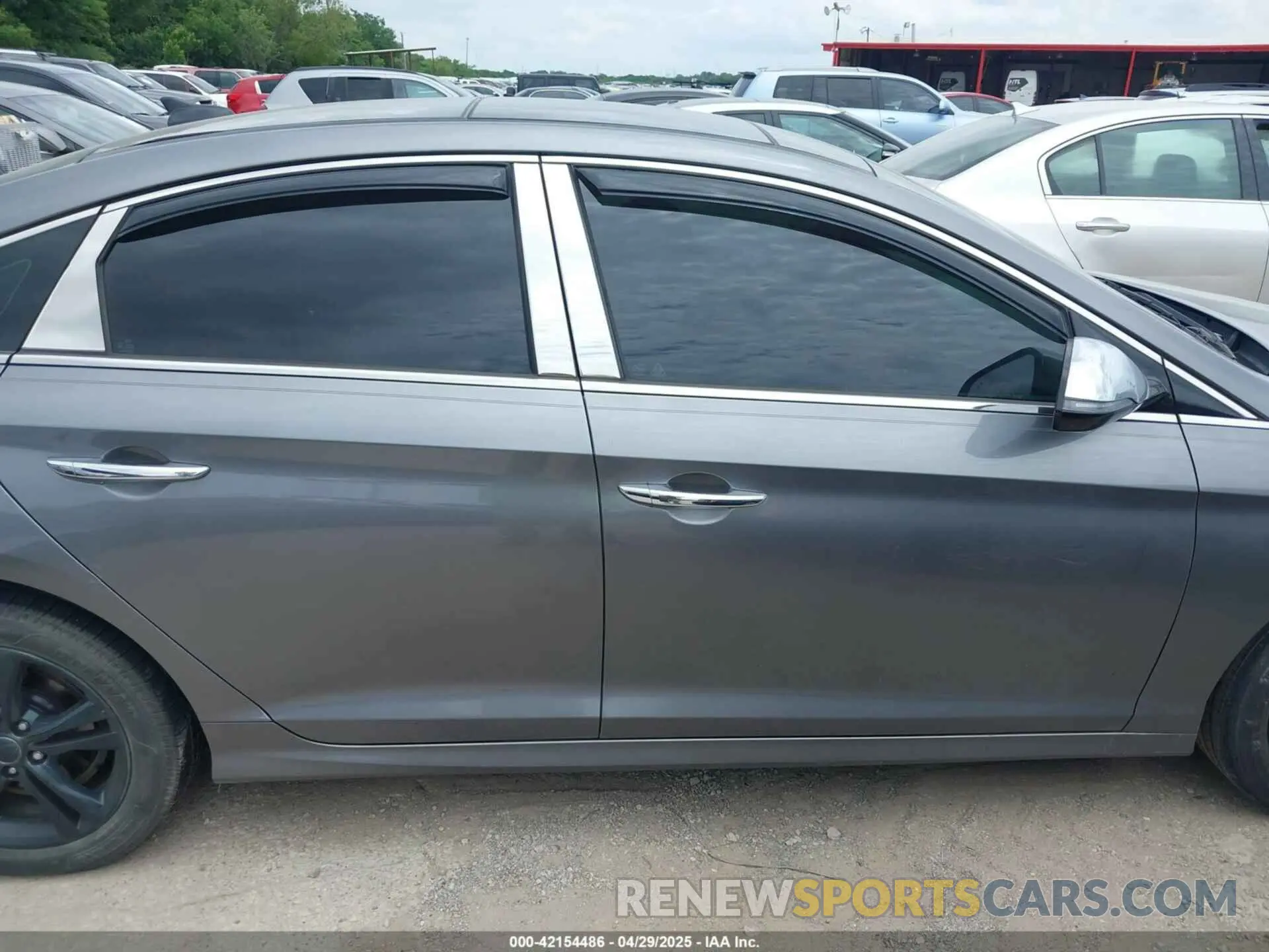 13 Photograph of a damaged car 5NPE34AF2KH743501 HYUNDAI SONATA 2019