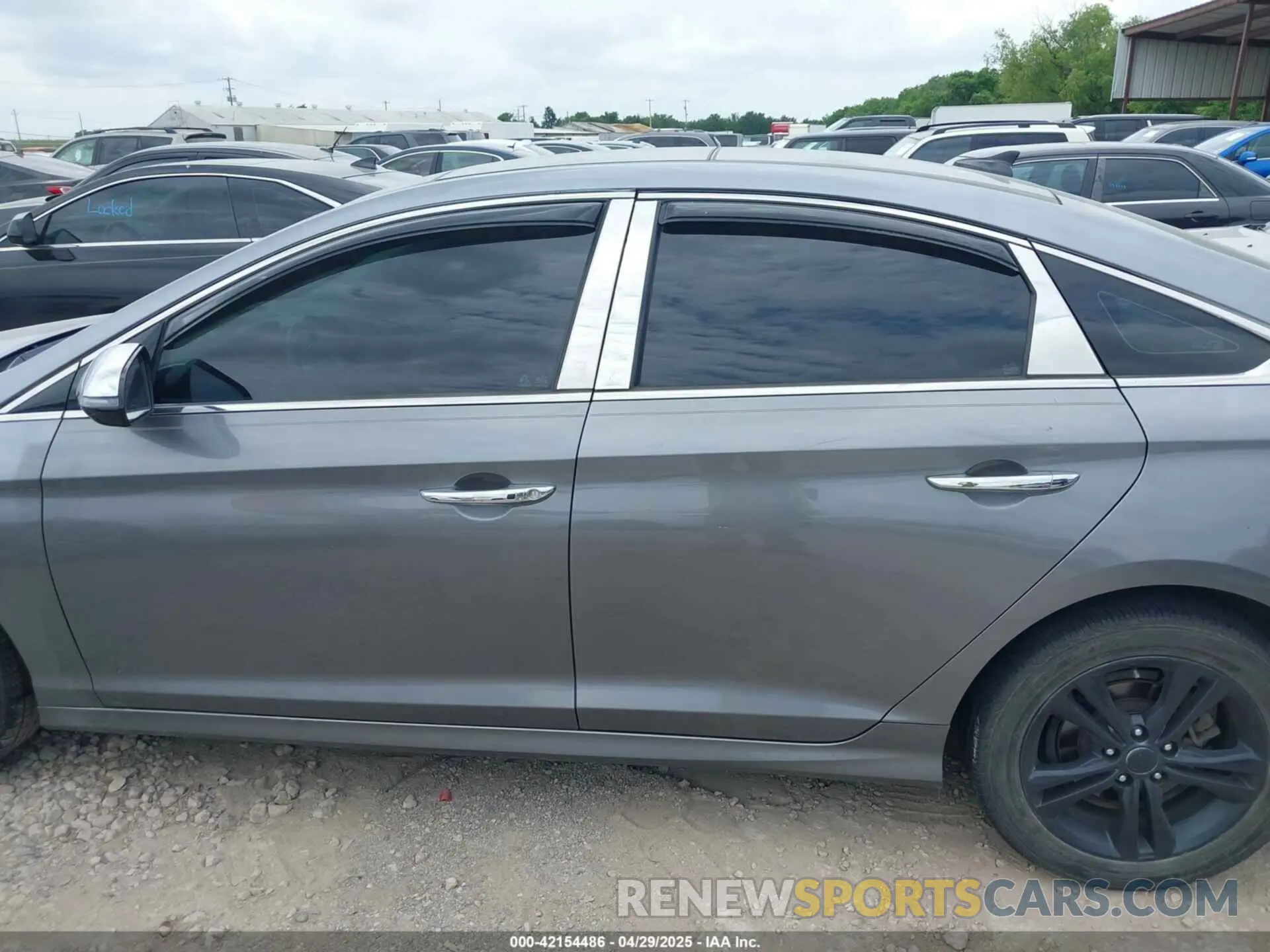 14 Photograph of a damaged car 5NPE34AF2KH743501 HYUNDAI SONATA 2019