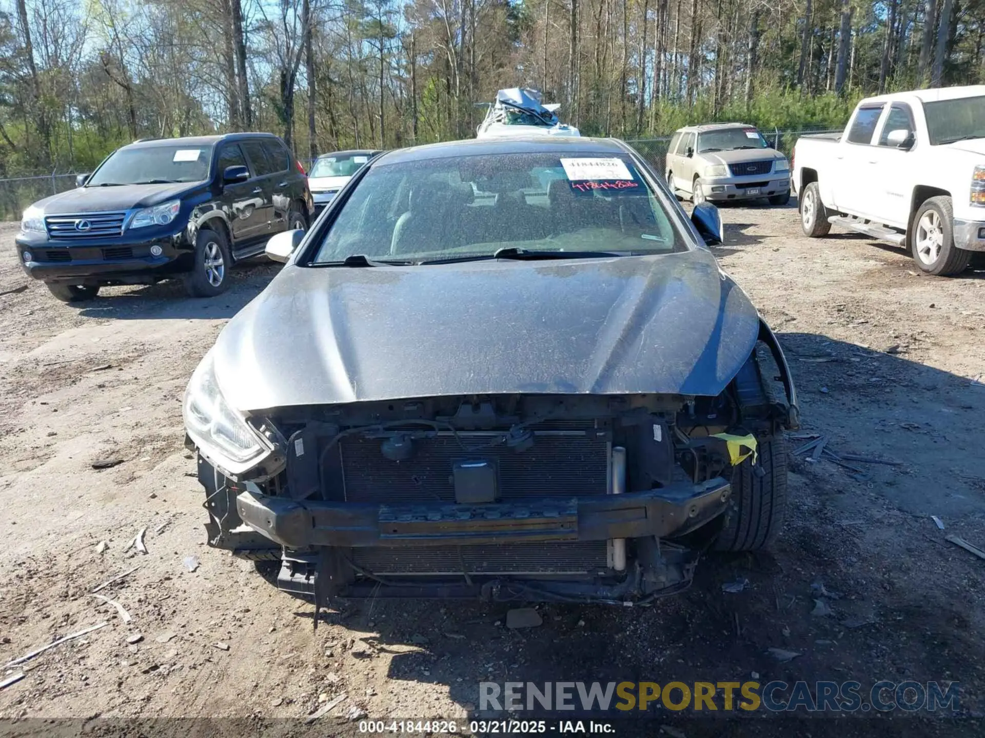 13 Photograph of a damaged car 5NPE34AF2KH772044 HYUNDAI SONATA 2019