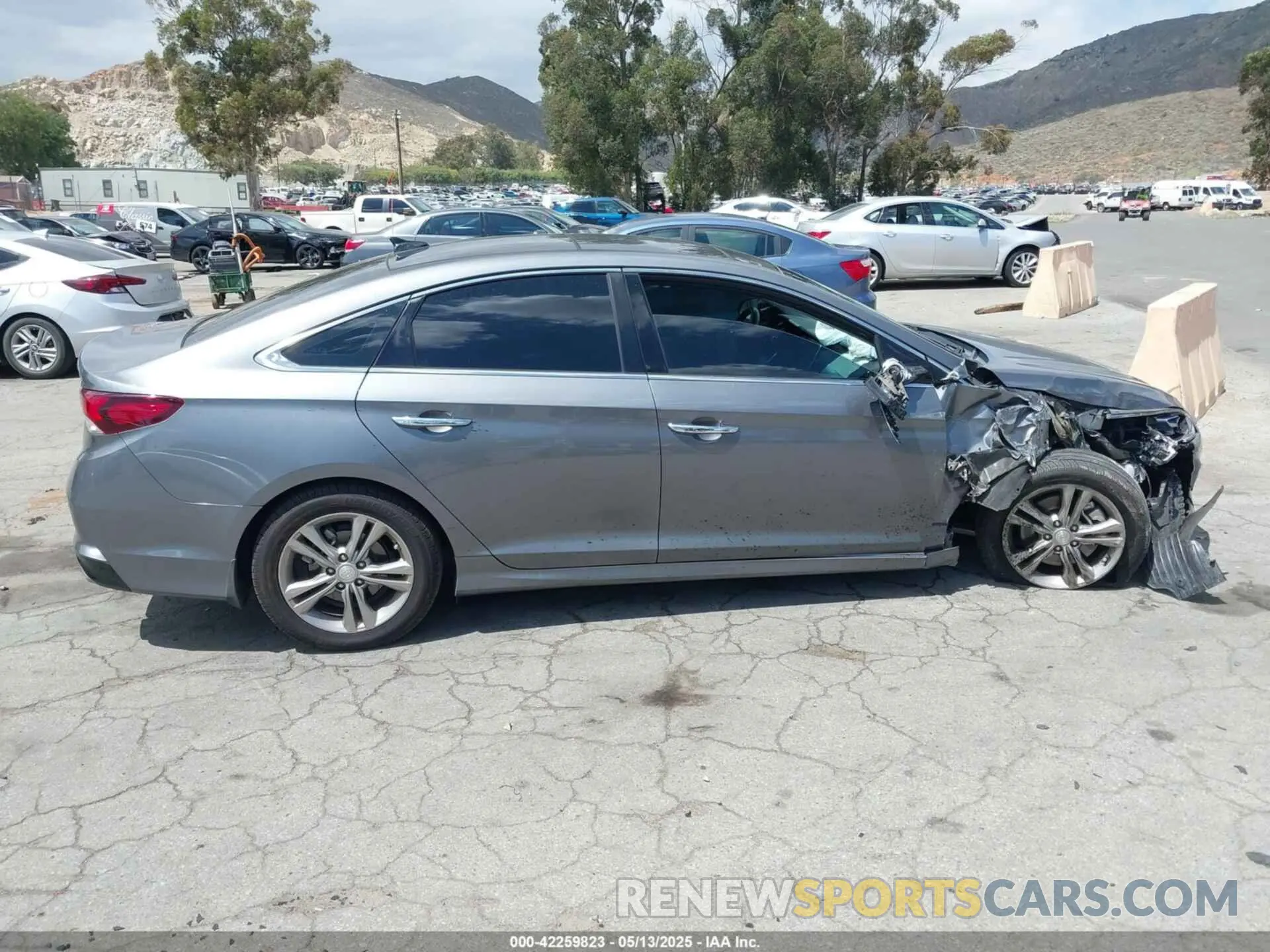 13 Photograph of a damaged car 5NPE34AF2KH796733 HYUNDAI SONATA 2019