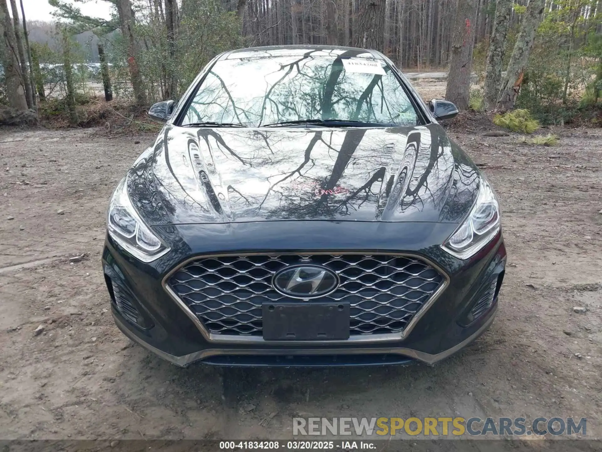 13 Photograph of a damaged car 5NPE34AF2KH820562 HYUNDAI SONATA 2019