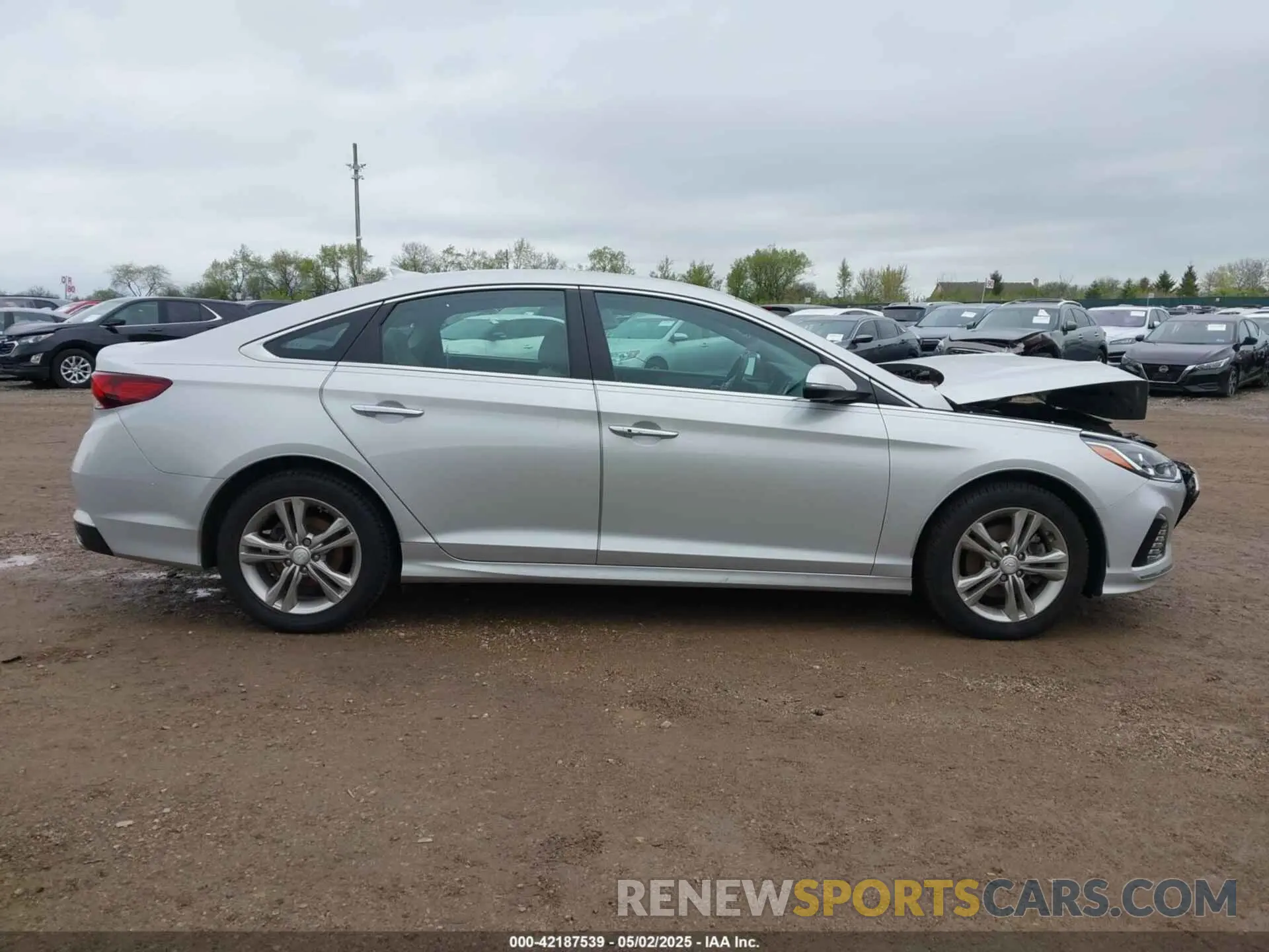 13 Photograph of a damaged car 5NPE34AF3KH753809 HYUNDAI SONATA 2019