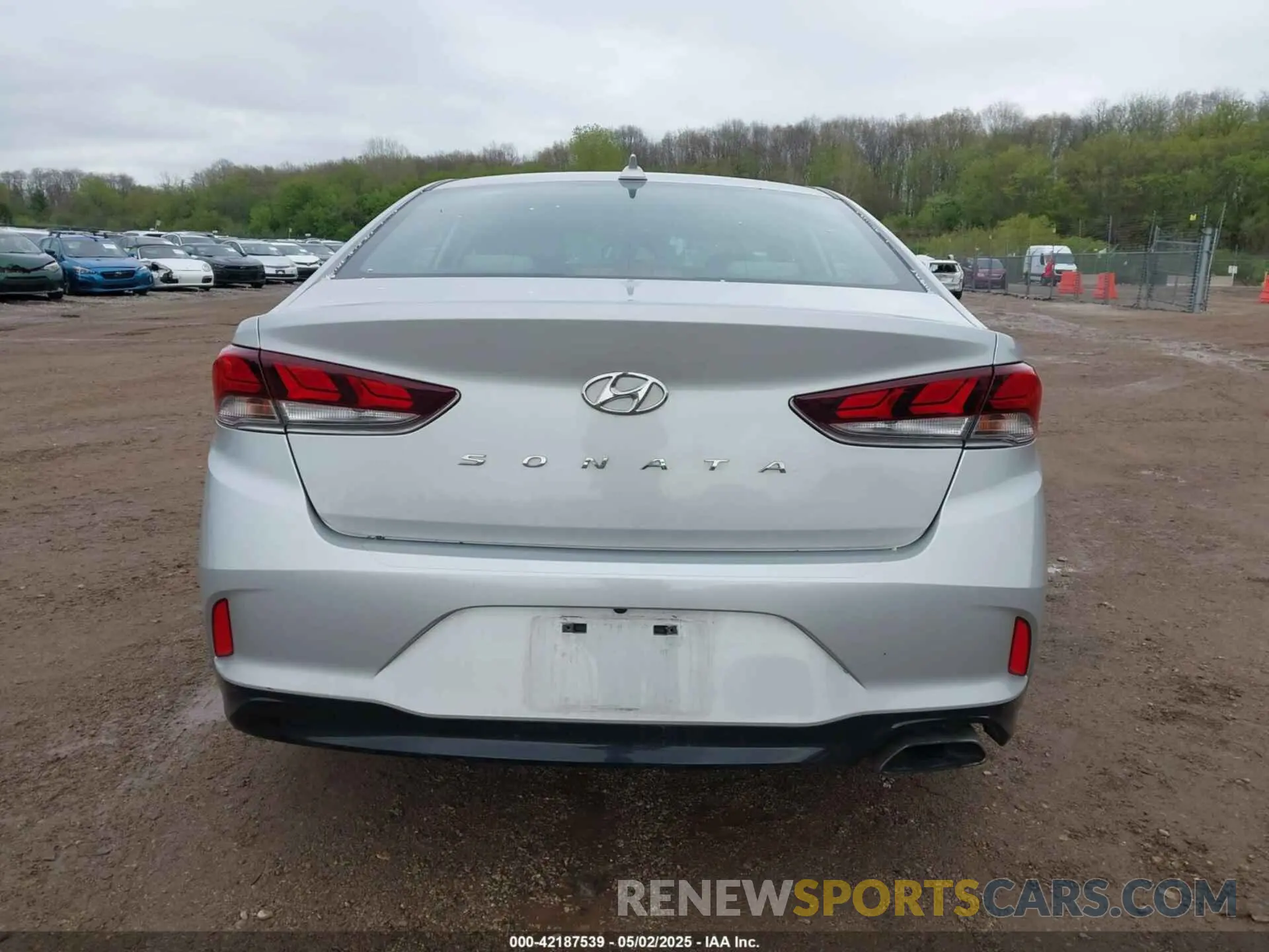 16 Photograph of a damaged car 5NPE34AF3KH753809 HYUNDAI SONATA 2019