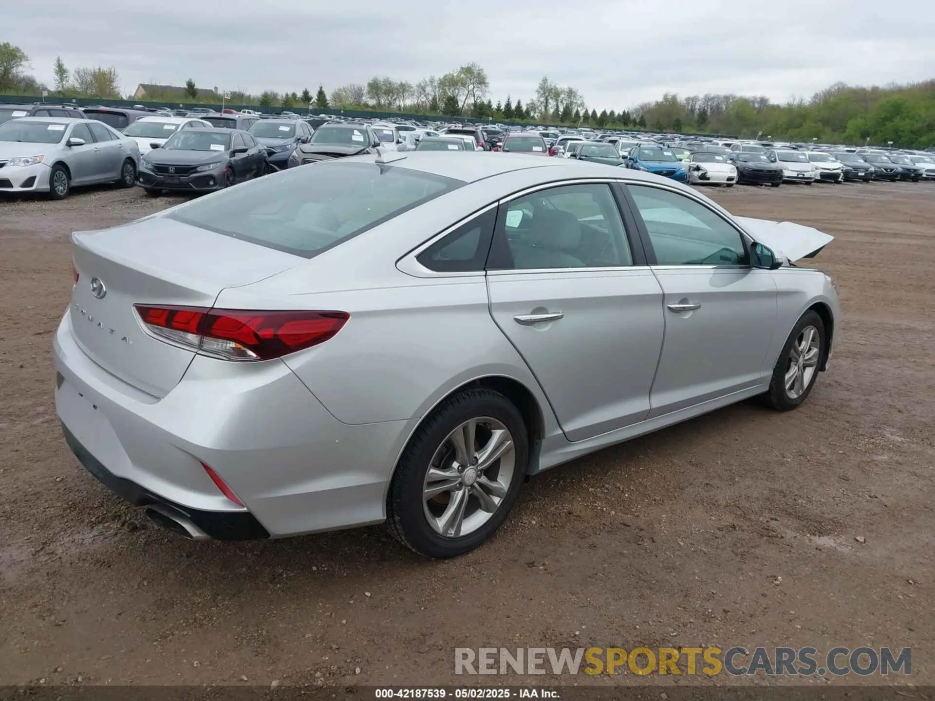 4 Photograph of a damaged car 5NPE34AF3KH753809 HYUNDAI SONATA 2019