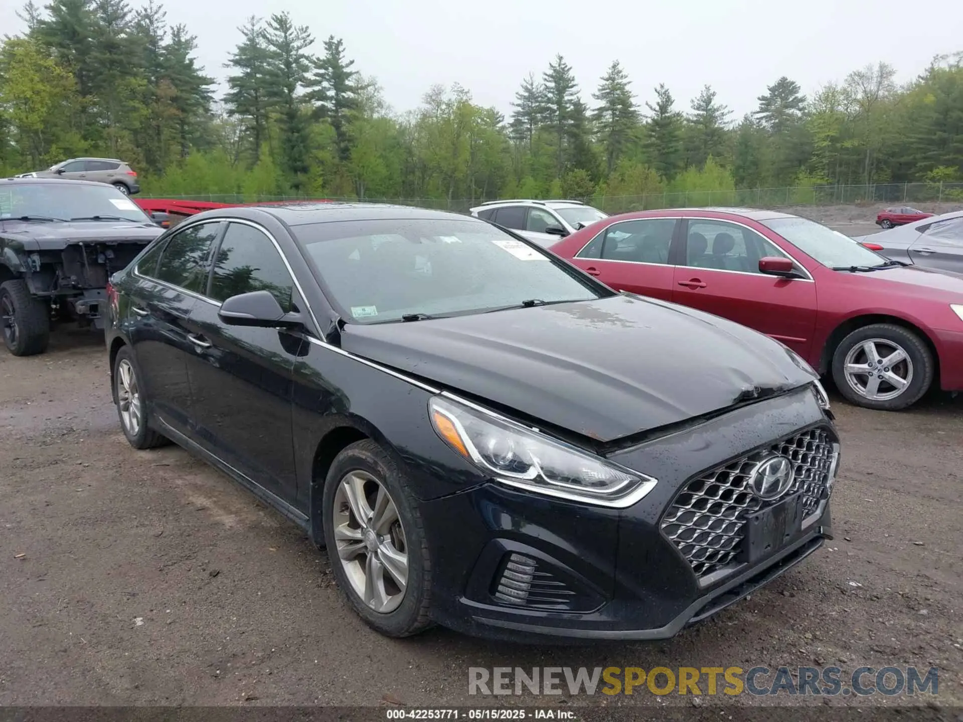 1 Photograph of a damaged car 5NPE34AF3KH791265 HYUNDAI SONATA 2019