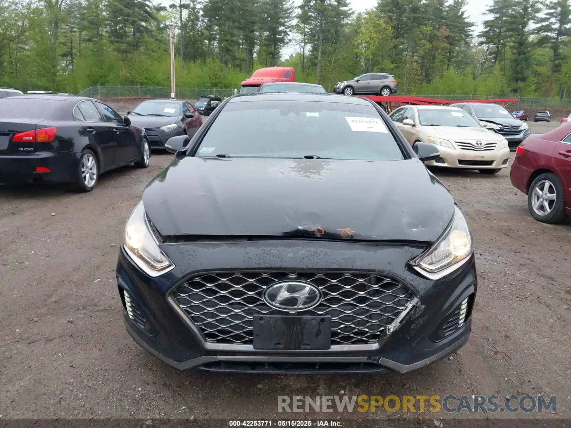 12 Photograph of a damaged car 5NPE34AF3KH791265 HYUNDAI SONATA 2019