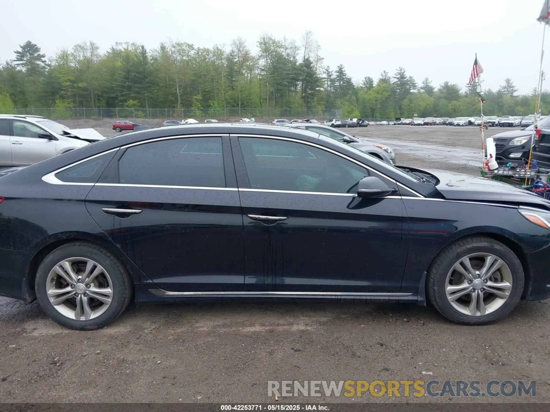 13 Photograph of a damaged car 5NPE34AF3KH791265 HYUNDAI SONATA 2019