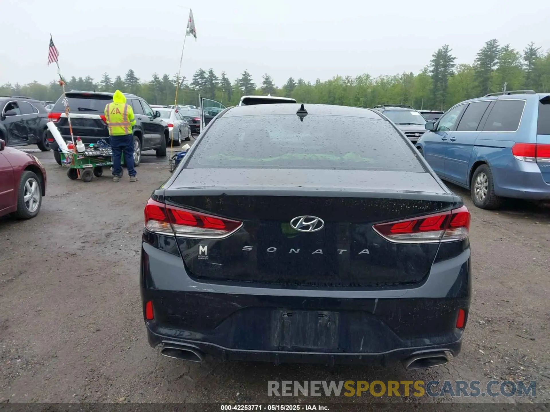 16 Photograph of a damaged car 5NPE34AF3KH791265 HYUNDAI SONATA 2019