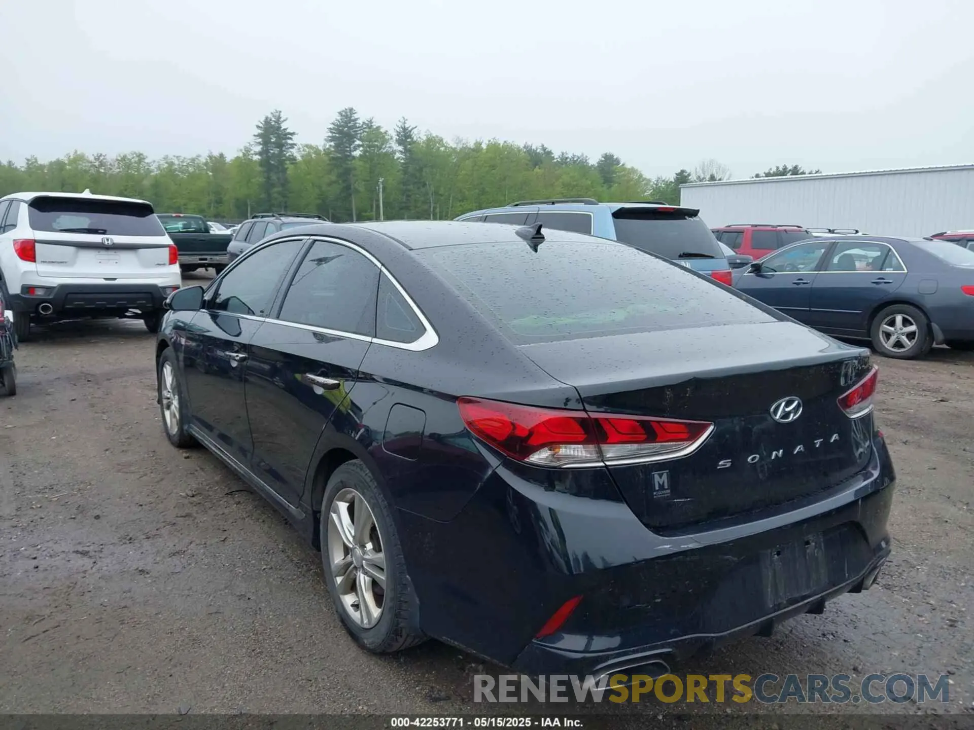 3 Photograph of a damaged car 5NPE34AF3KH791265 HYUNDAI SONATA 2019