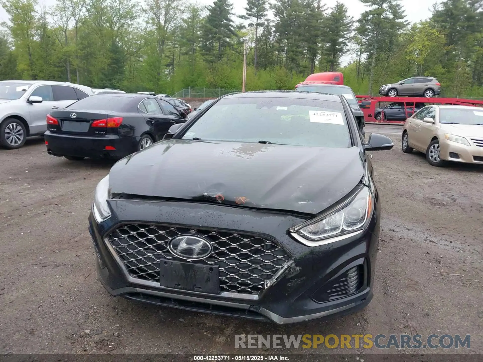 6 Photograph of a damaged car 5NPE34AF3KH791265 HYUNDAI SONATA 2019