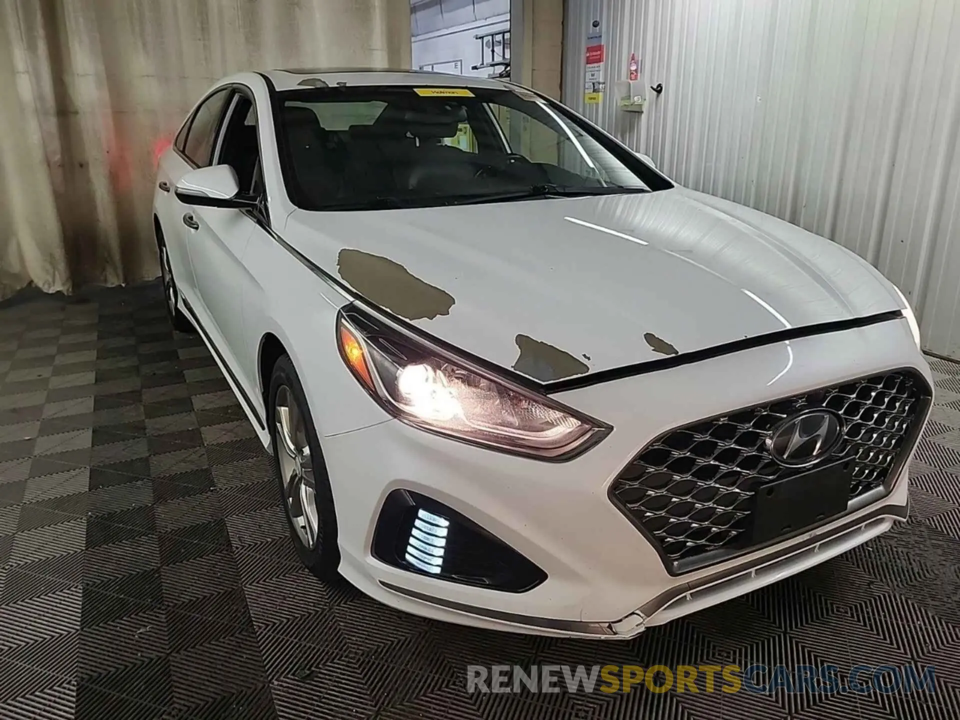 24 Photograph of a damaged car 5NPE34AF3KH808680 HYUNDAI SONATA 2019