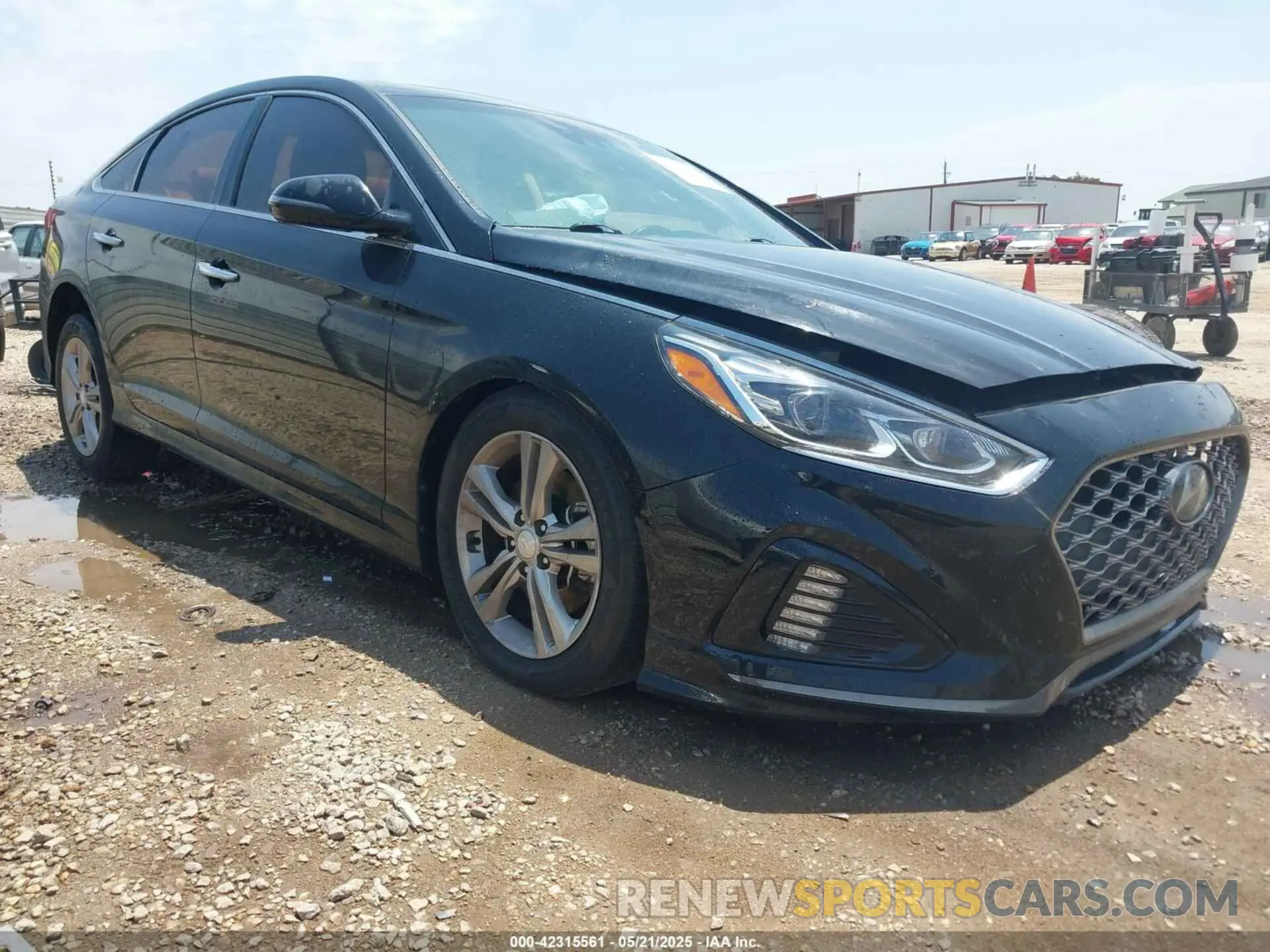 1 Photograph of a damaged car 5NPE34AF3KH815872 HYUNDAI SONATA 2019