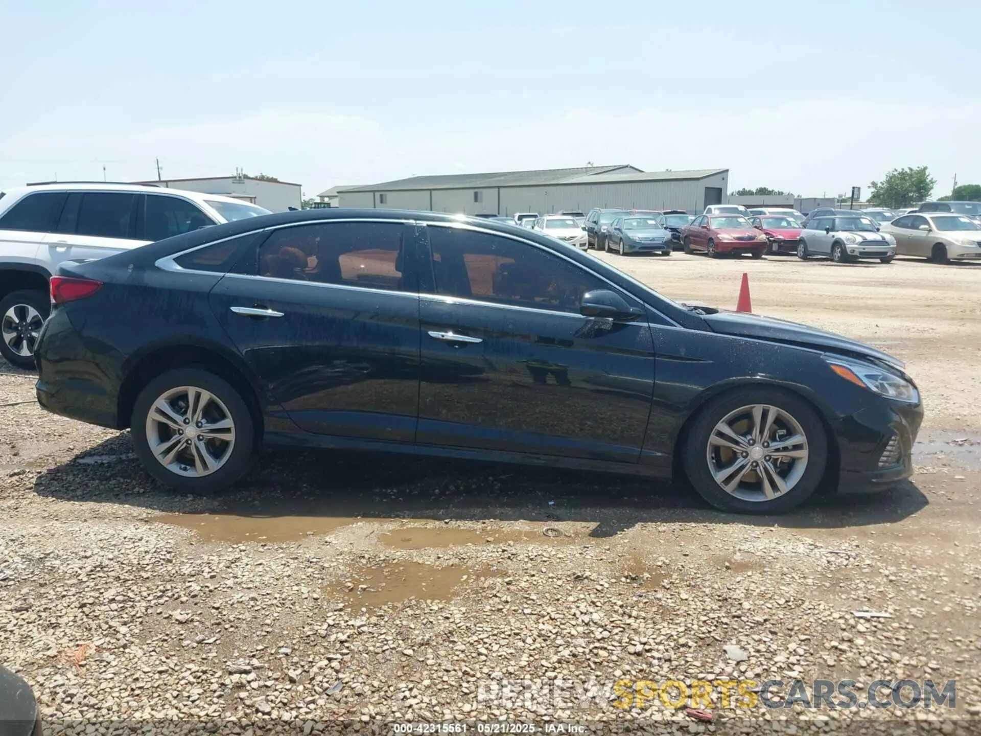 12 Photograph of a damaged car 5NPE34AF3KH815872 HYUNDAI SONATA 2019