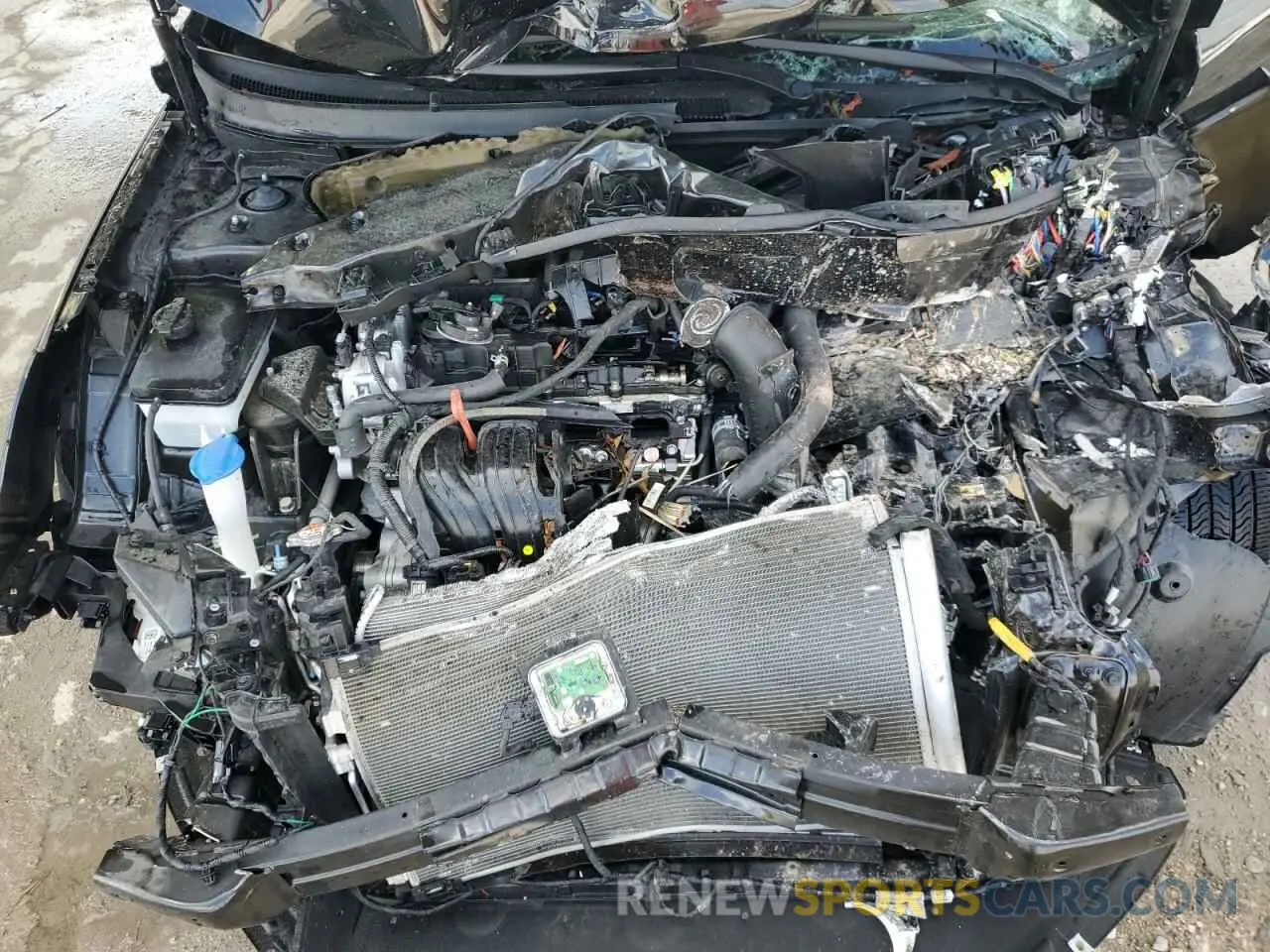 11 Photograph of a damaged car 5NPE34AF4KH776631 HYUNDAI SONATA 2019