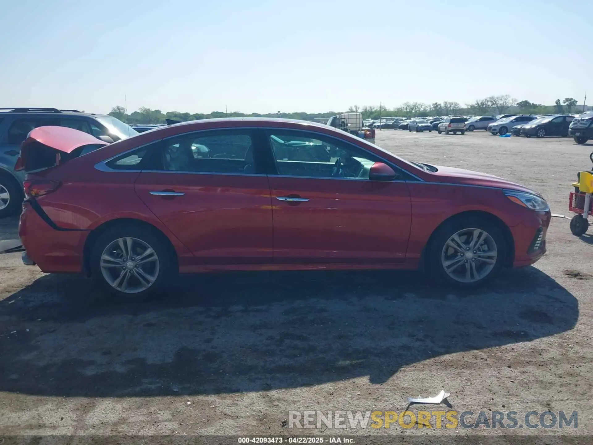 13 Photograph of a damaged car 5NPE34AF4KH796927 HYUNDAI SONATA 2019