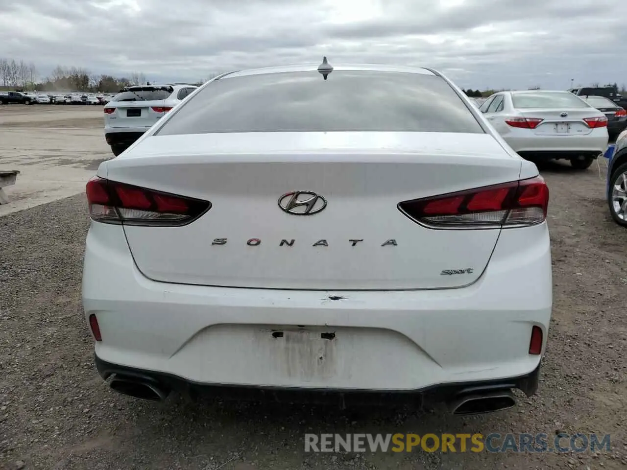 6 Photograph of a damaged car 5NPE34AF6KH747745 HYUNDAI SONATA 2019