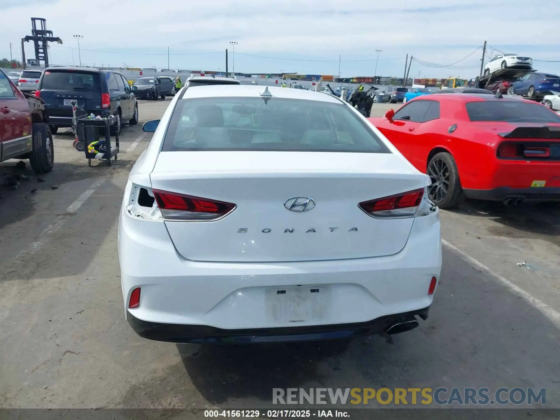 16 Photograph of a damaged car 5NPE34AF6KH786609 HYUNDAI SONATA 2019