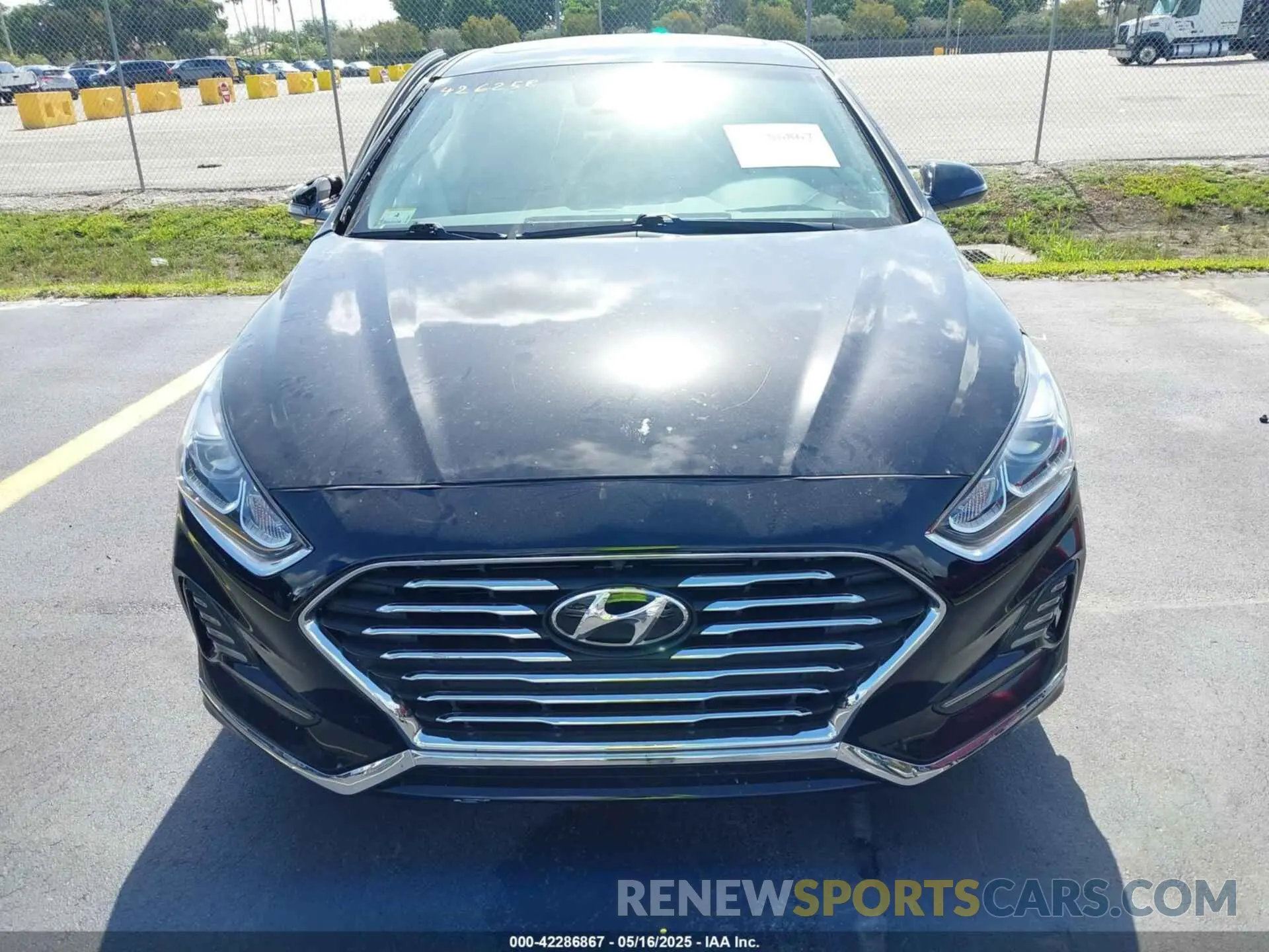 12 Photograph of a damaged car 5NPE34AF8KH732910 HYUNDAI SONATA 2019
