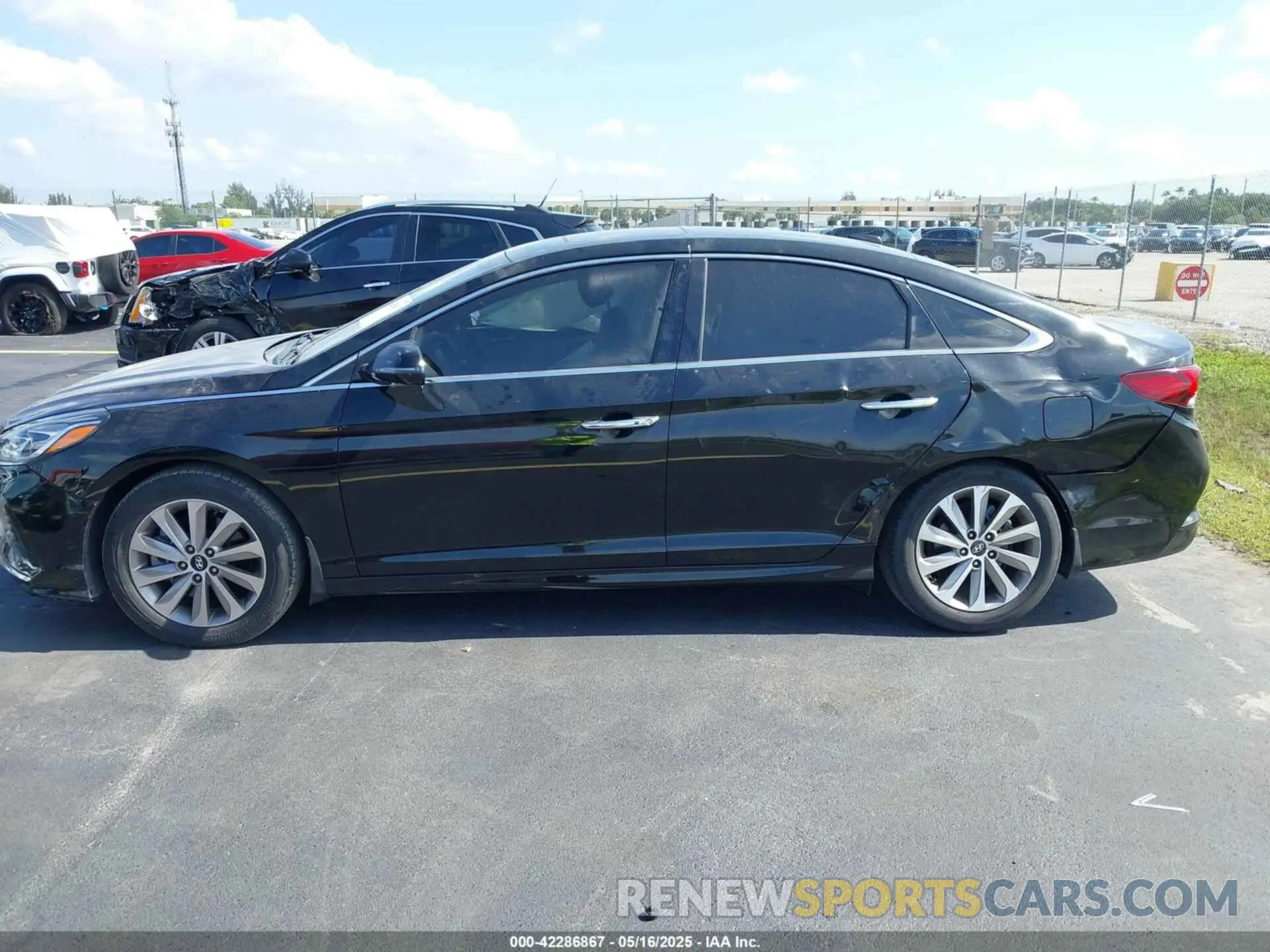 14 Photograph of a damaged car 5NPE34AF8KH732910 HYUNDAI SONATA 2019