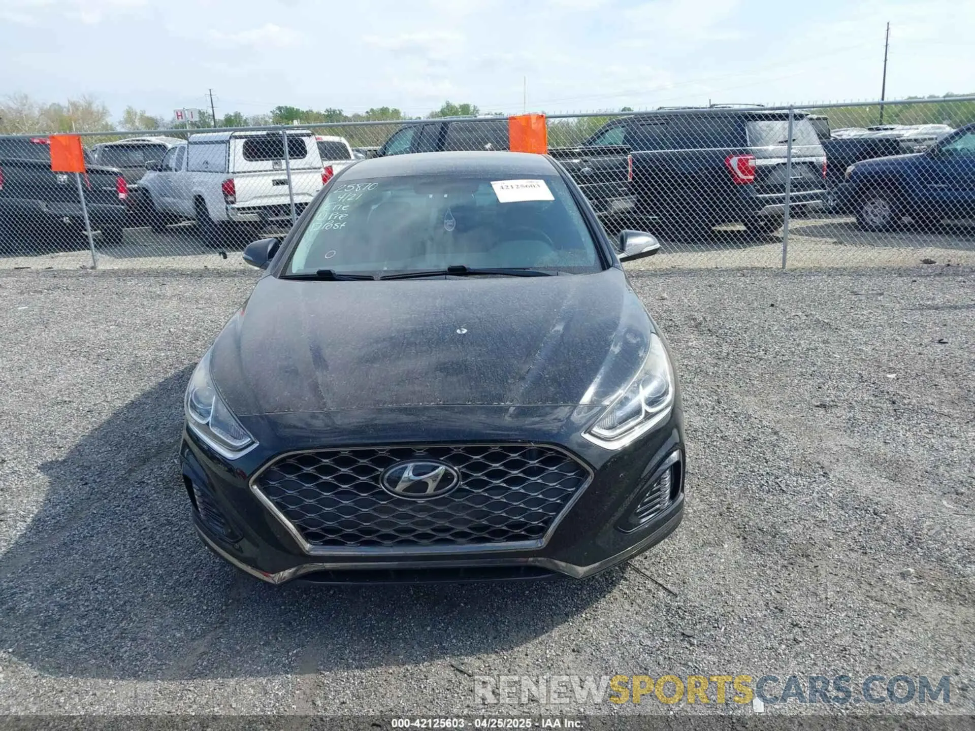 12 Photograph of a damaged car 5NPE34AF8KH739419 HYUNDAI SONATA 2019