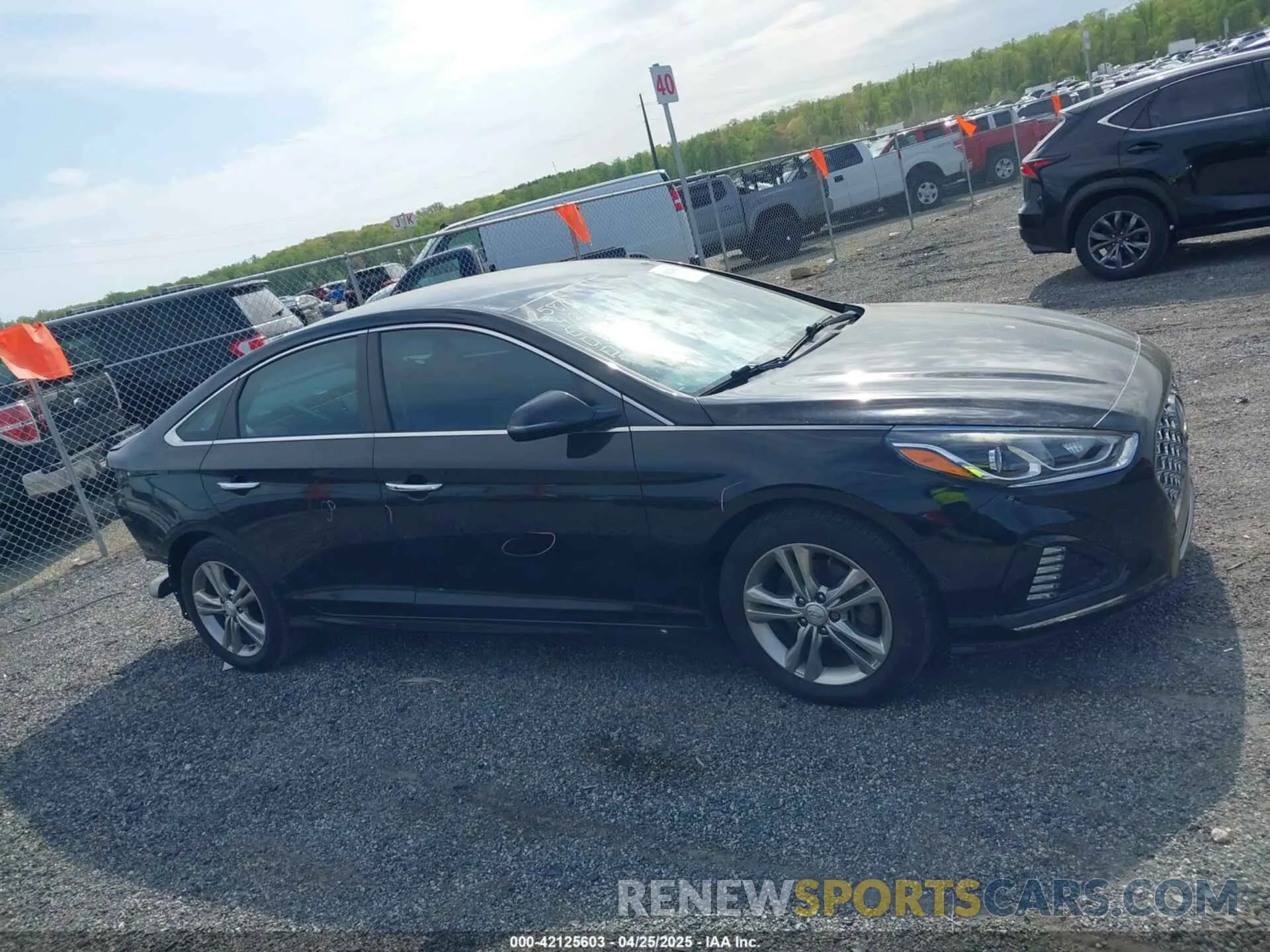 13 Photograph of a damaged car 5NPE34AF8KH739419 HYUNDAI SONATA 2019