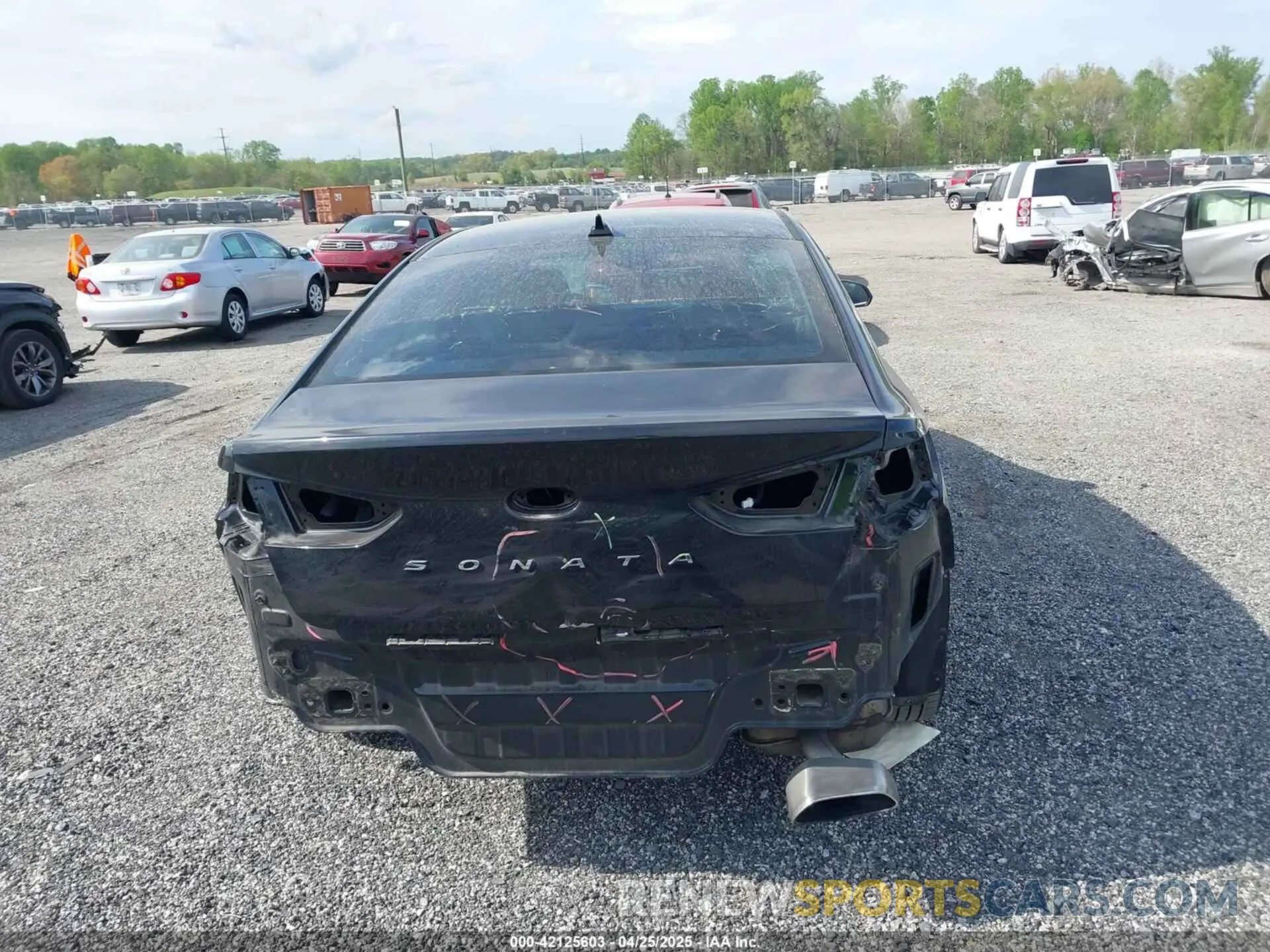 16 Photograph of a damaged car 5NPE34AF8KH739419 HYUNDAI SONATA 2019