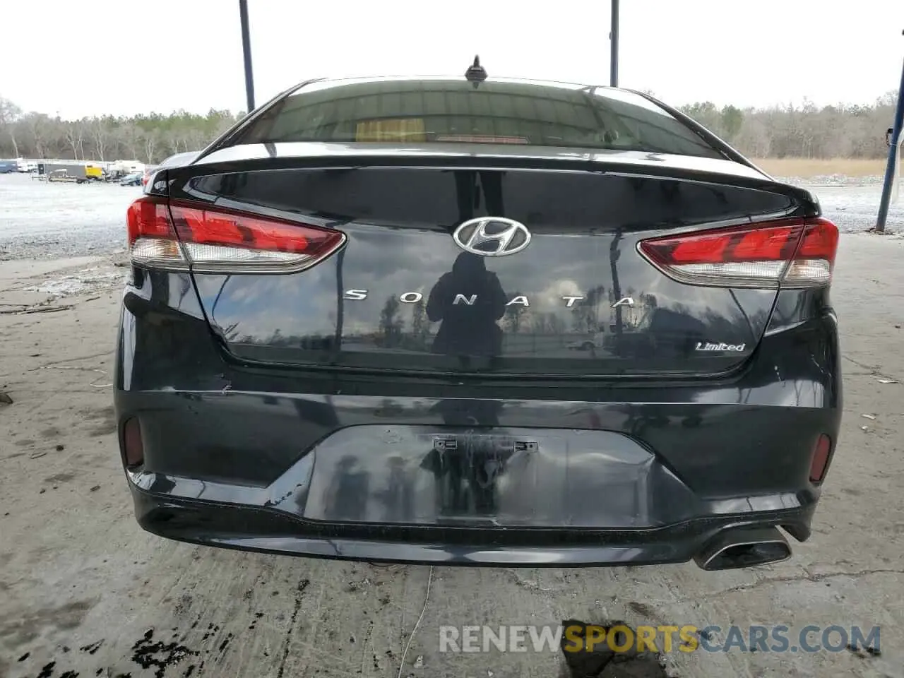 6 Photograph of a damaged car 5NPE34AF8KH803572 HYUNDAI SONATA 2019