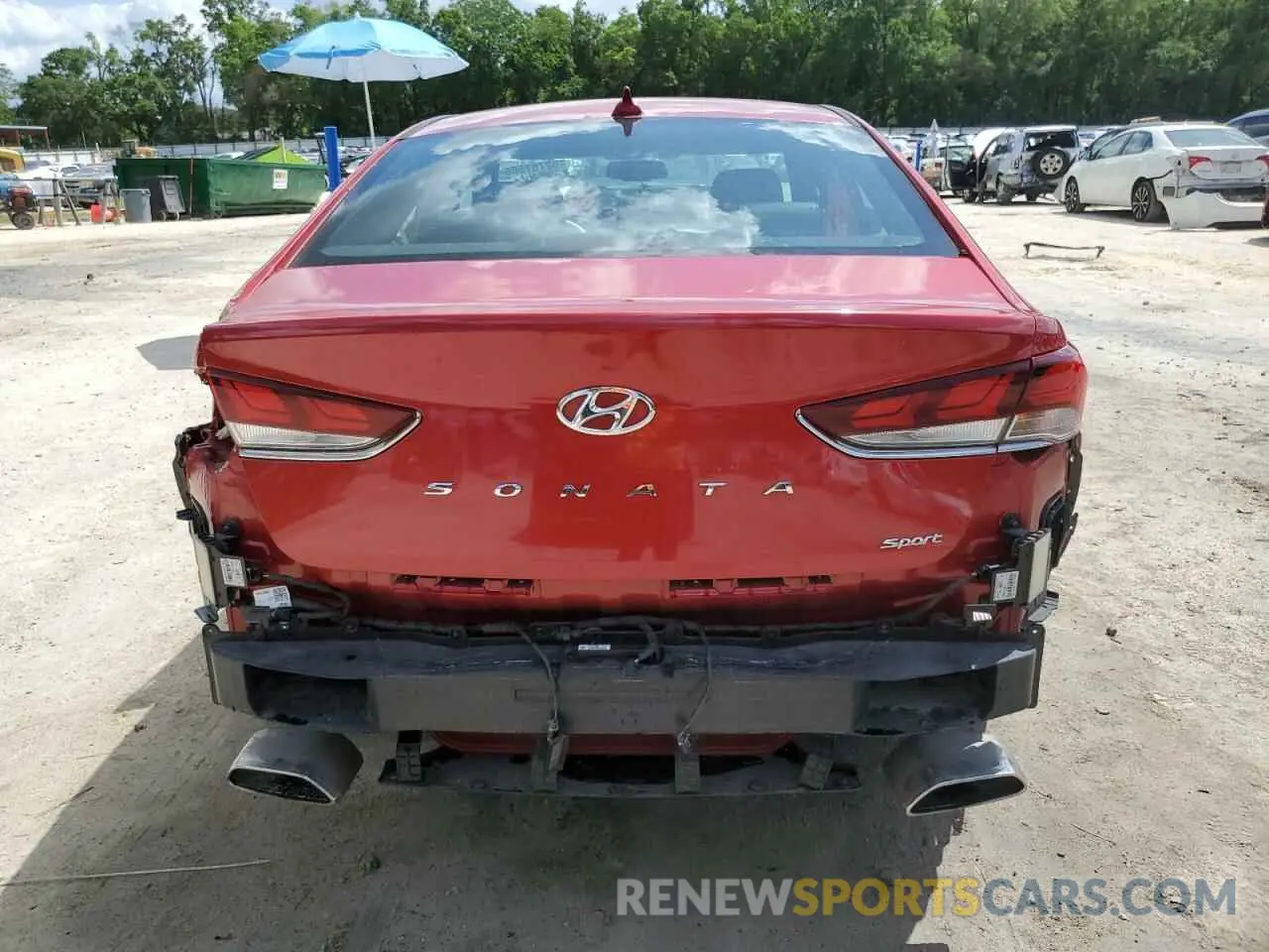 6 Photograph of a damaged car 5NPE34AF8KH808447 HYUNDAI SONATA 2019