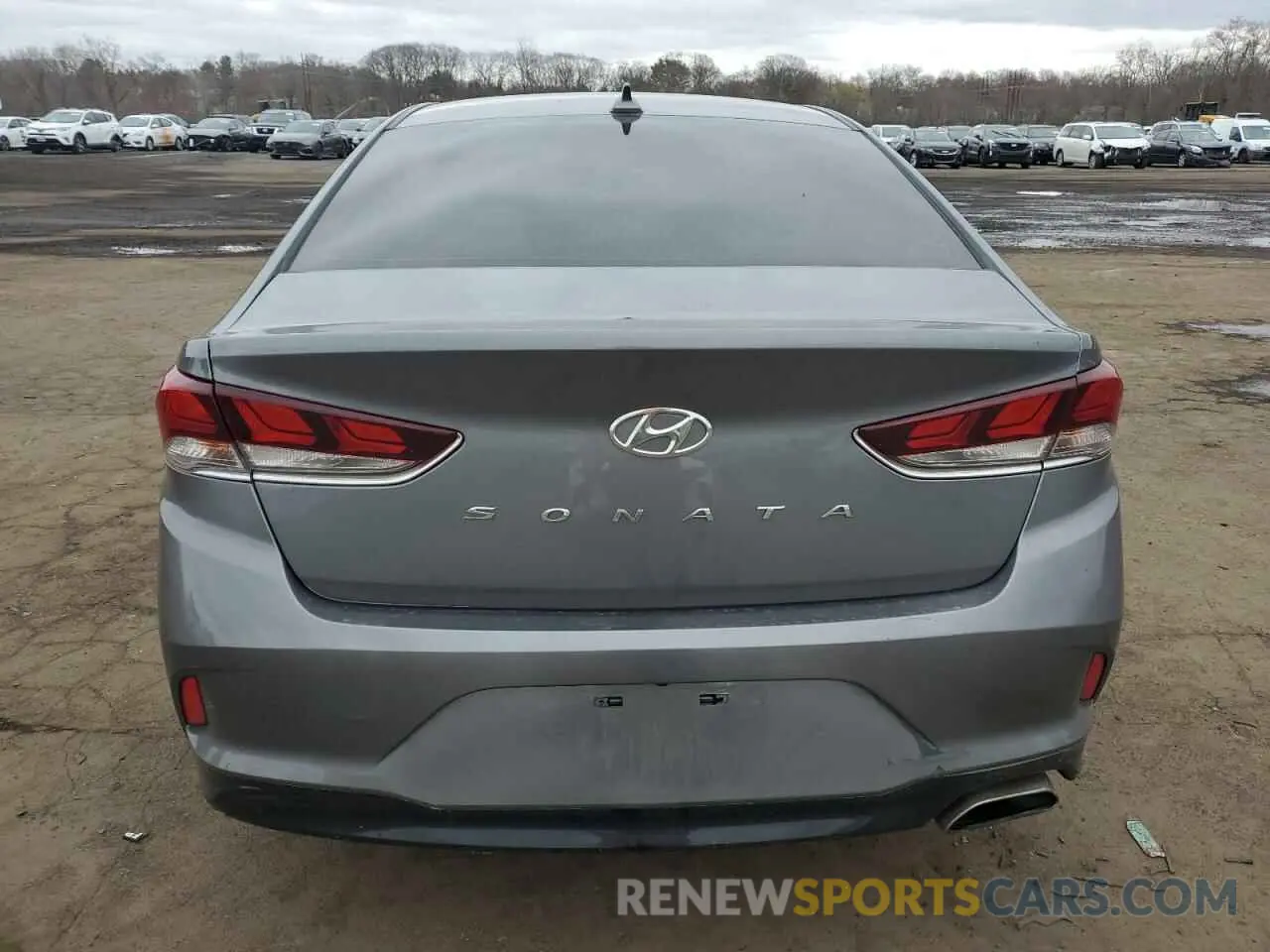6 Photograph of a damaged car 5NPE34AF9KH795563 HYUNDAI SONATA 2019