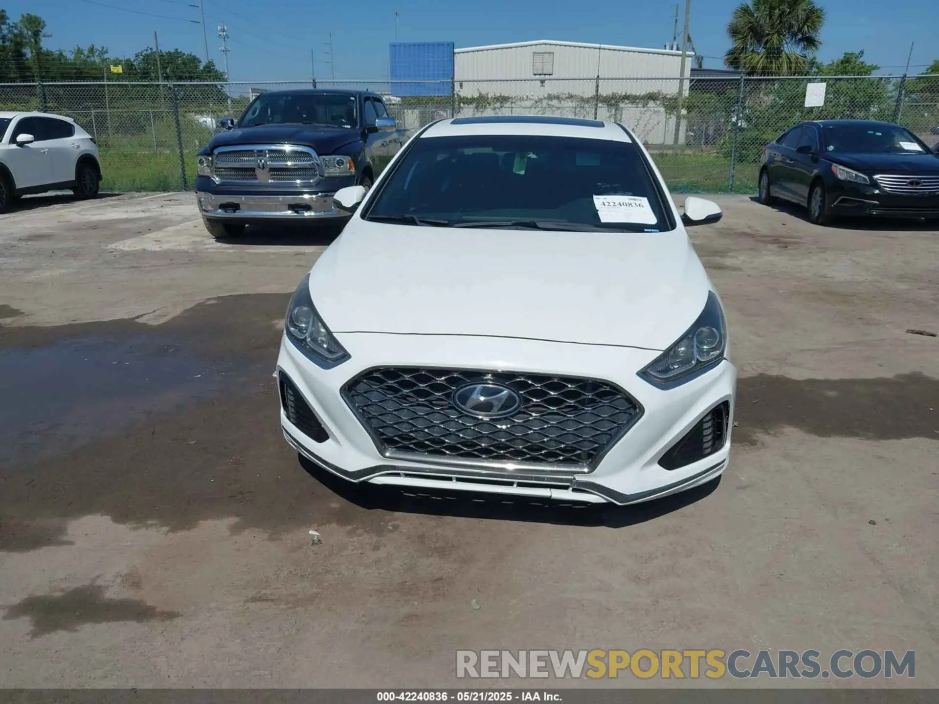 12 Photograph of a damaged car 5NPE34AFXKH774141 HYUNDAI SONATA 2019