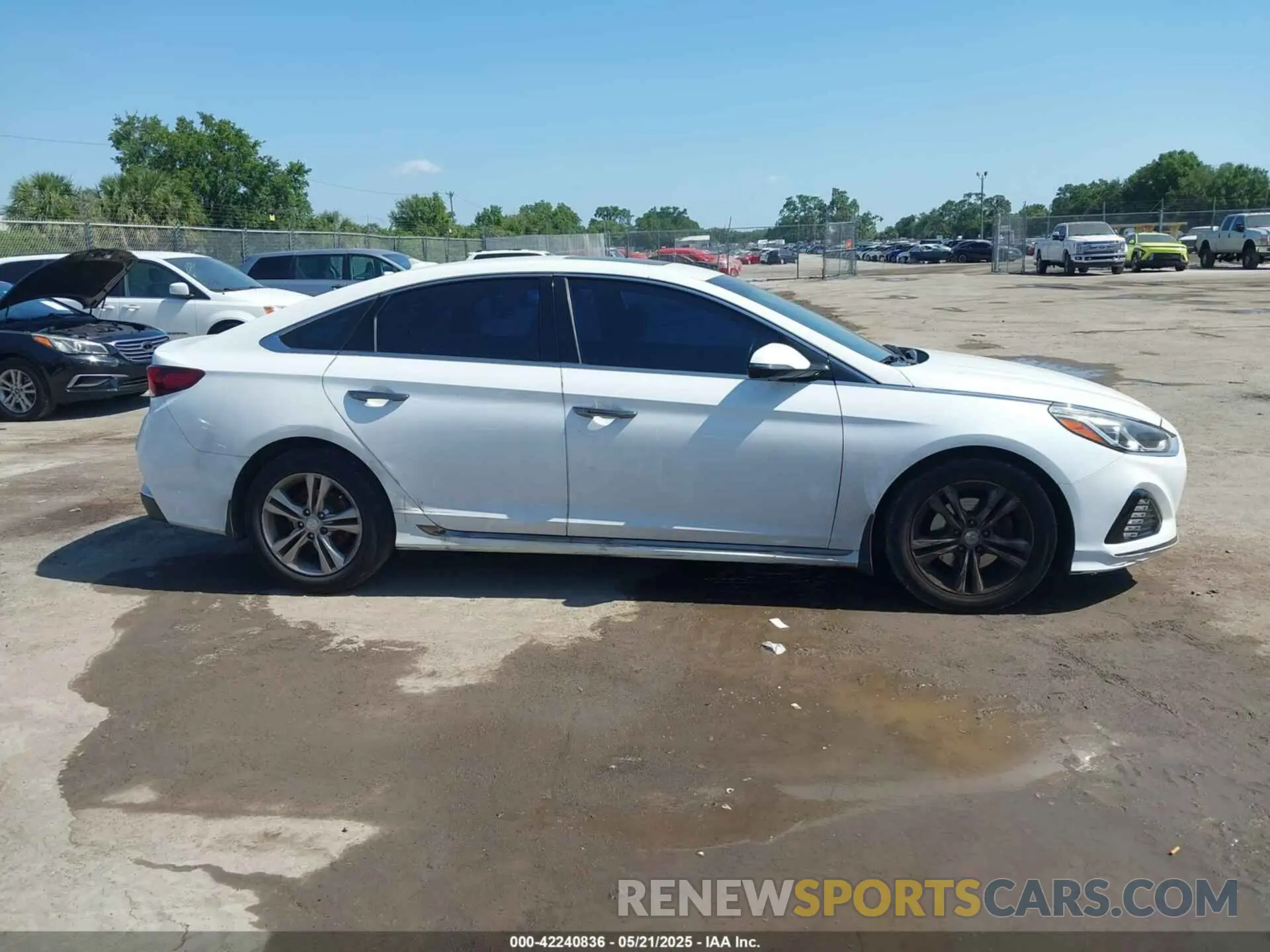 13 Photograph of a damaged car 5NPE34AFXKH774141 HYUNDAI SONATA 2019