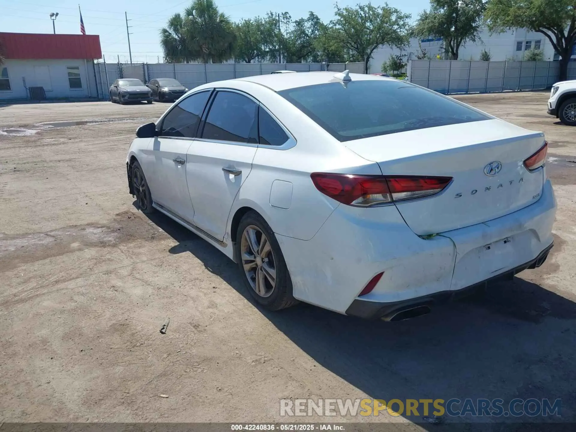 3 Photograph of a damaged car 5NPE34AFXKH774141 HYUNDAI SONATA 2019