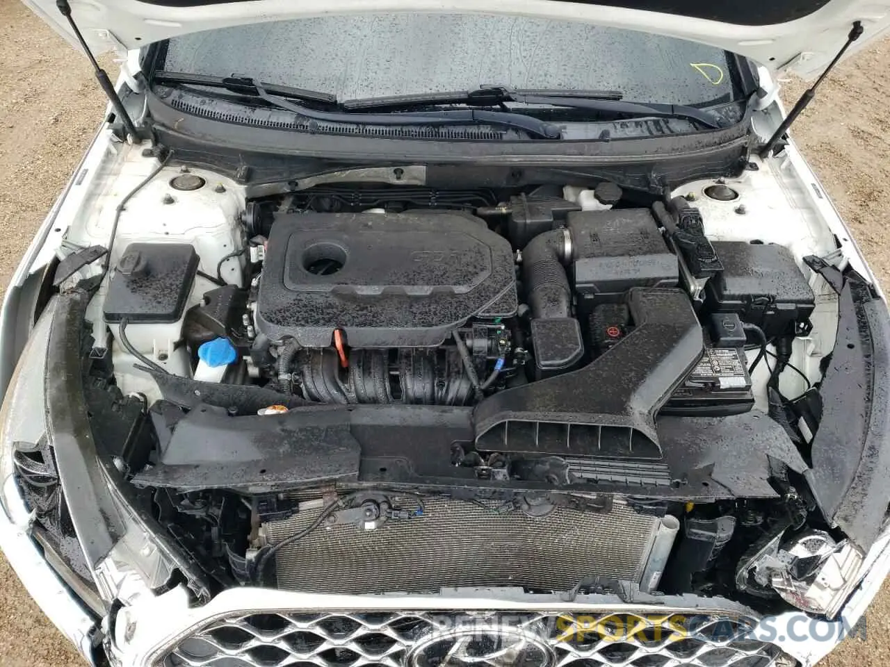 11 Photograph of a damaged car 5NPE34AFXKH807395 HYUNDAI SONATA 2019
