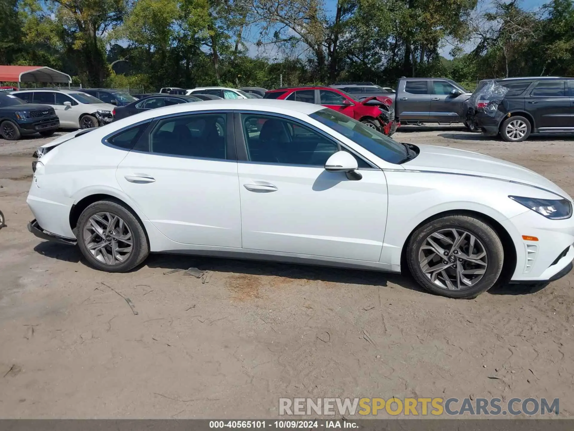 13 Photograph of a damaged car 5NPEF4JAXLH019231 HYUNDAI SONATA 2020
