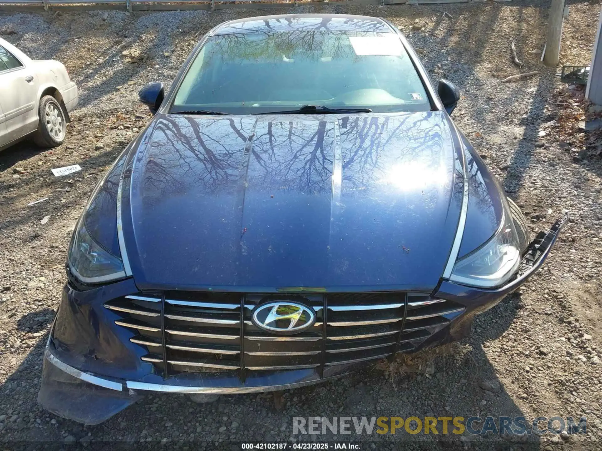 12 Photograph of a damaged car 5NPEG4JA1MH109561 HYUNDAI SONATA 2021