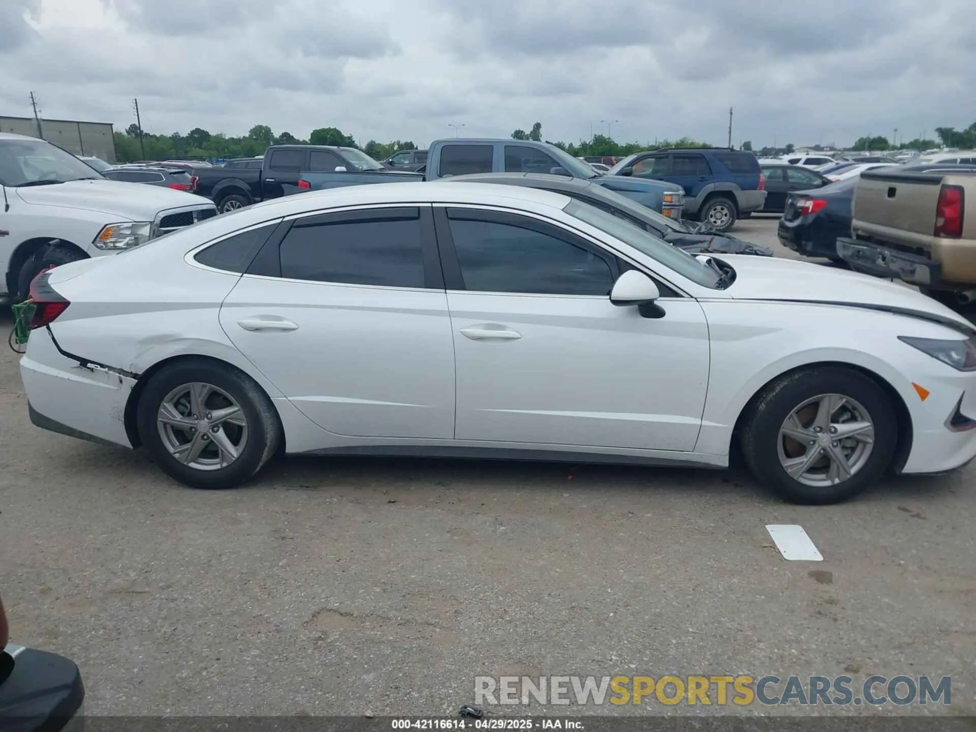 12 Photograph of a damaged car 5NPEG4JA6MH131152 HYUNDAI SONATA 2021
