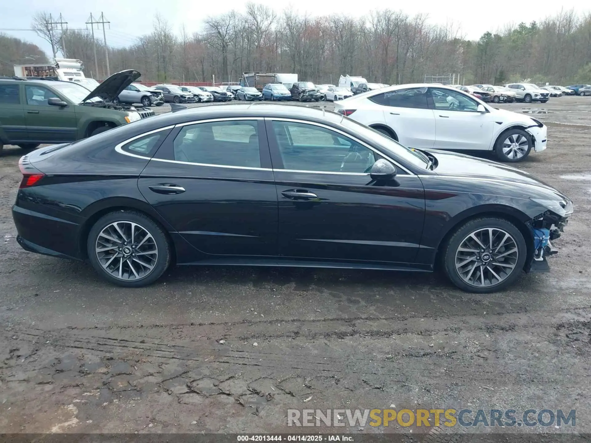 13 Photograph of a damaged car KMHL34J23NA203036 HYUNDAI SONATA 2022