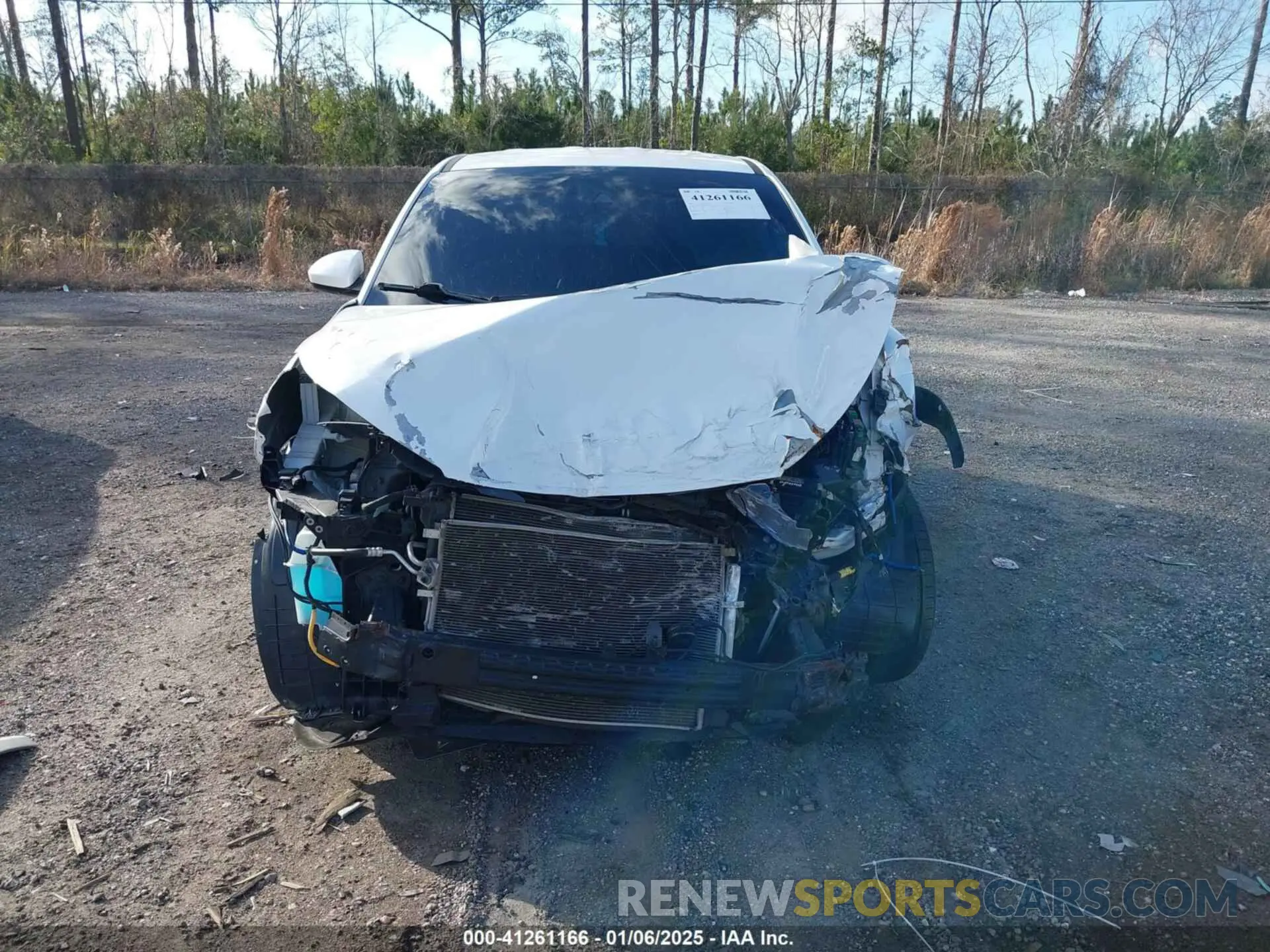 12 Photograph of a damaged car KM8J2CA48KU951829 HYUNDAI TUCSON 2019