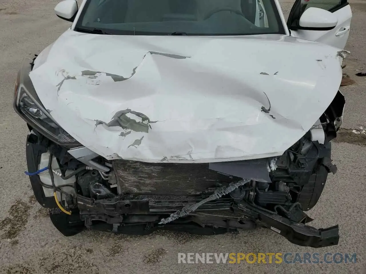 12 Photograph of a damaged car KM8J33AL0KU050149 HYUNDAI TUCSON 2019