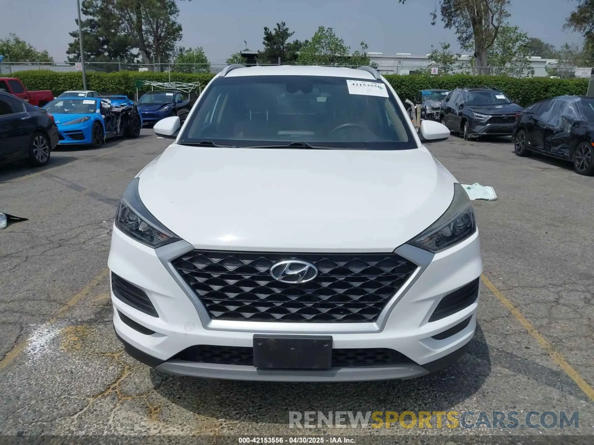 12 Photograph of a damaged car KM8J33AL5KU021603 HYUNDAI TUCSON 2019