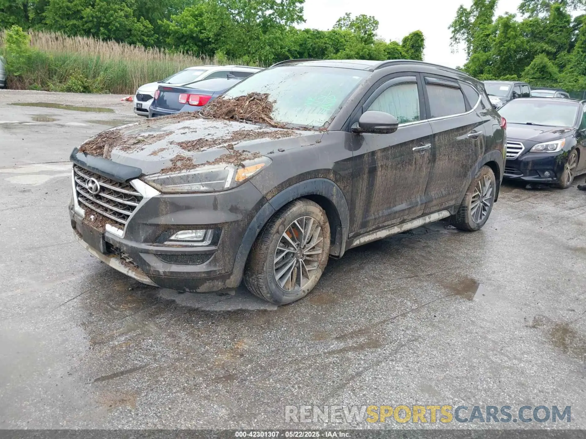 2 Photograph of a damaged car KM8J33AL5KU904519 HYUNDAI TUCSON 2019