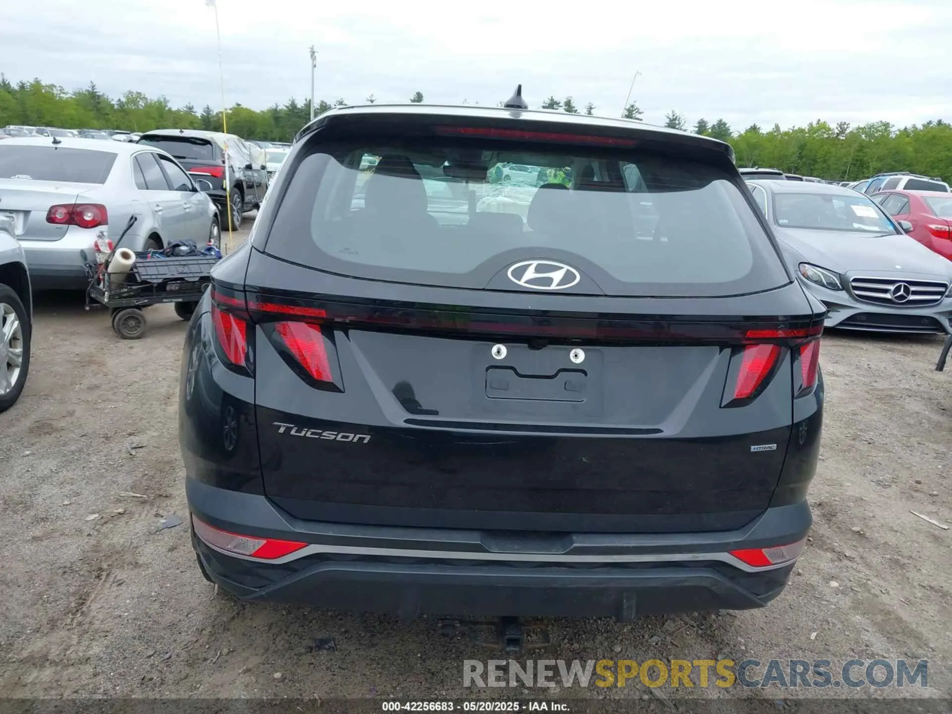 16 Photograph of a damaged car 5NMJACAE6NH085866 HYUNDAI TUCSON 2022