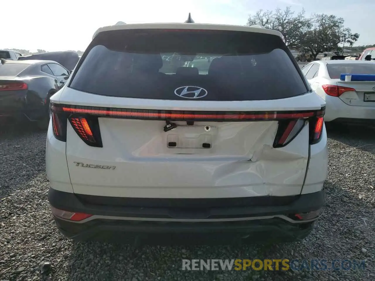 6 Photograph of a damaged car 5NMJB3AE8NH084523 HYUNDAI TUCSON 2022