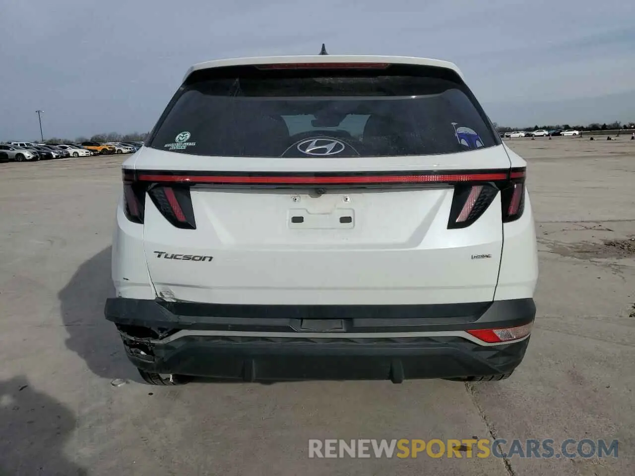 6 Photograph of a damaged car 5NMJBCAE4NH116741 HYUNDAI TUCSON 2022